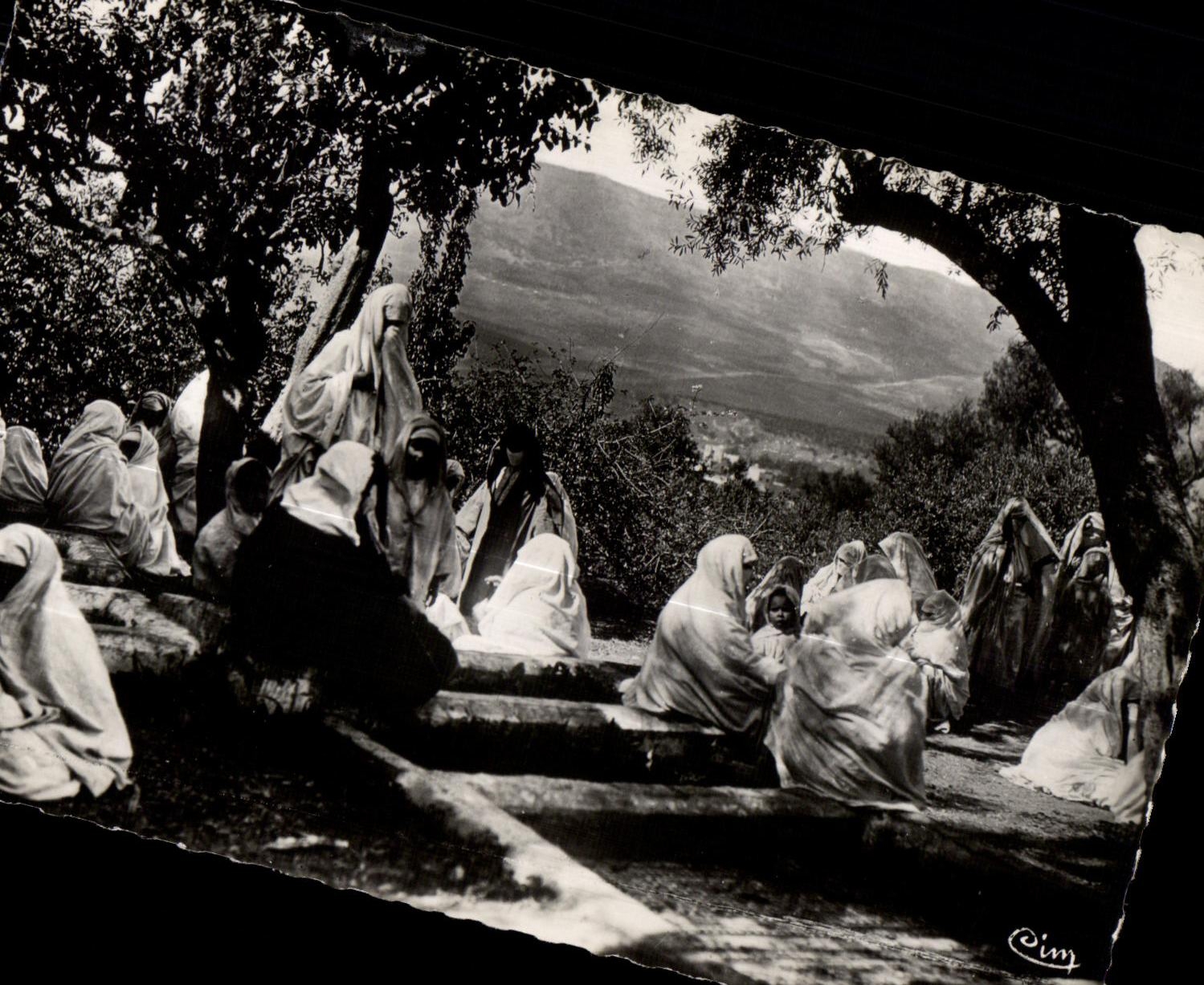 CPSM Morocco Scenes and Standards of Morocco In the Moslem cemetery