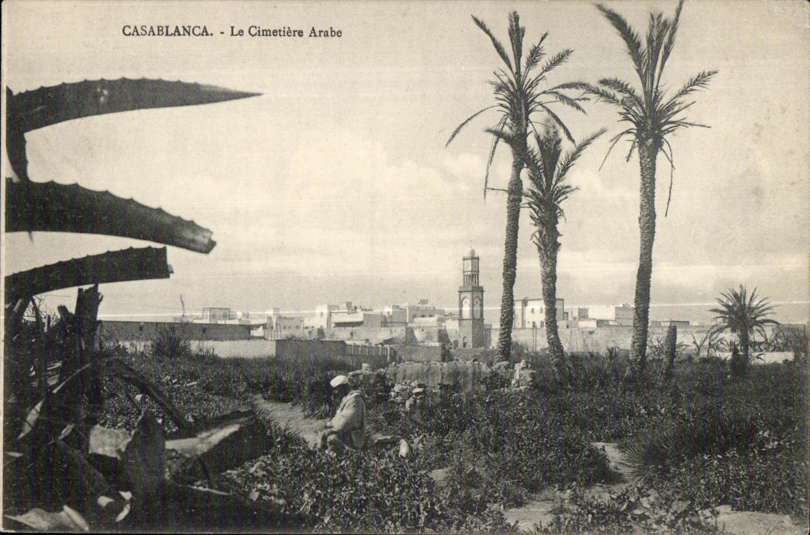 CPA Casablanca Le Cimetiere Arabe