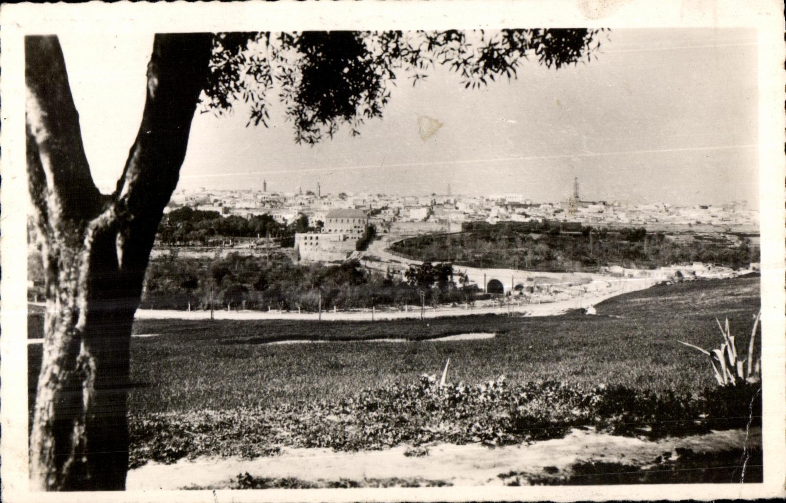 CPA Maroc Meknes Vue generale 