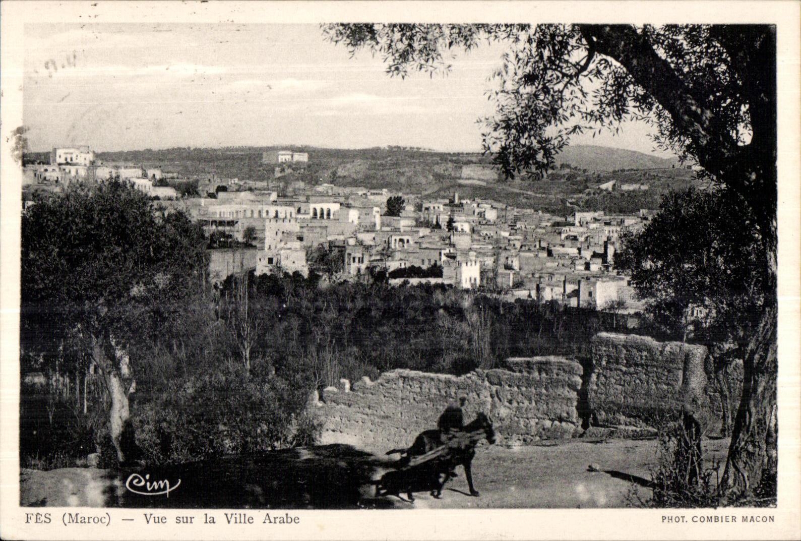 CPA Maroc Fes (Maroc) Vue sur la Ville Arabe