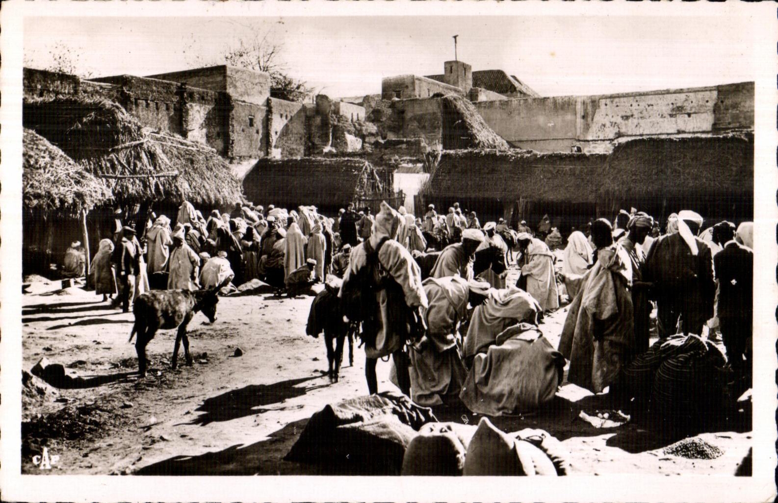 CPA Maroc Meknes Un coin du Marche aux Grains