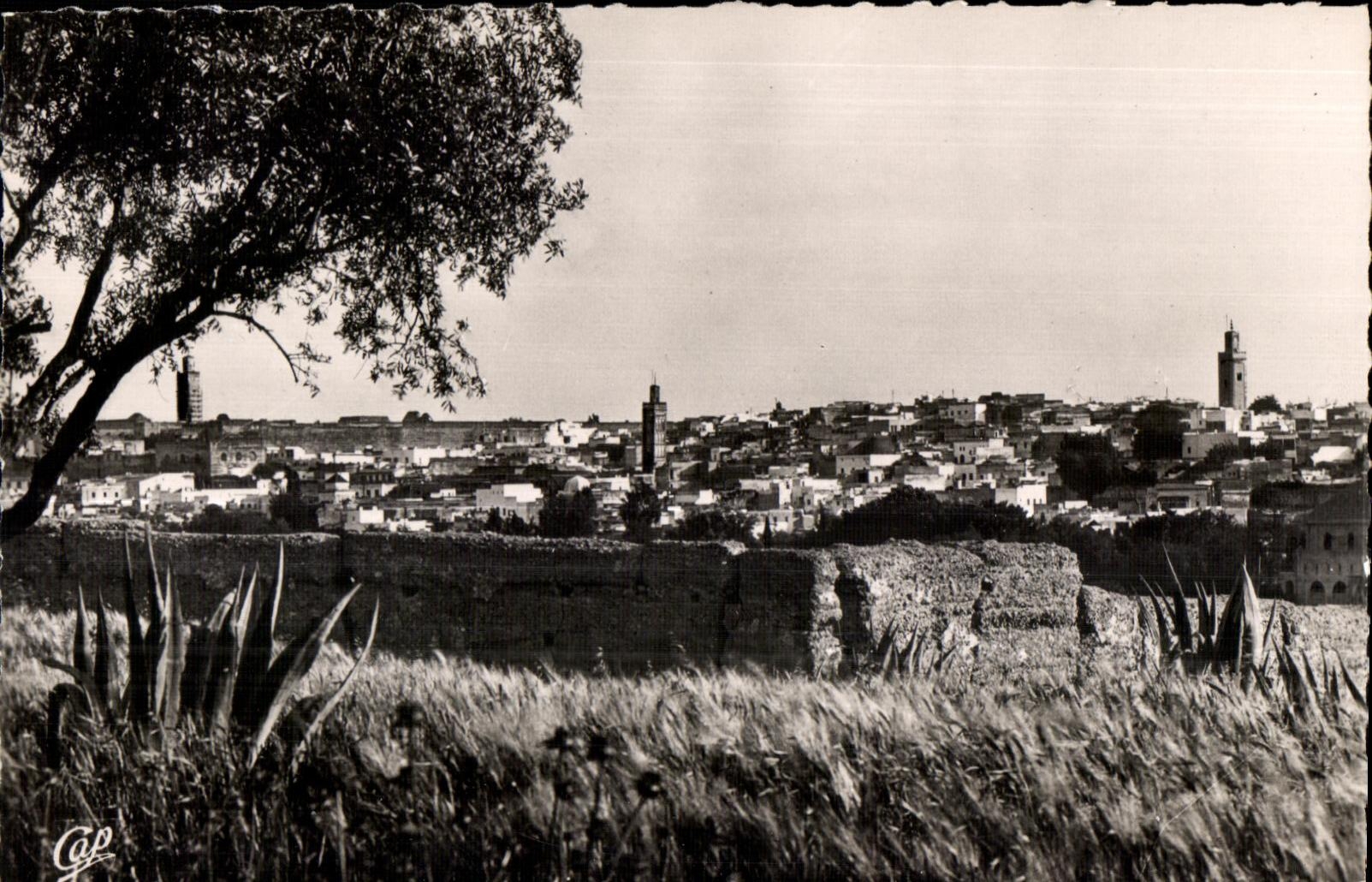 CPSM Maroc Meknes Panorama sur la Medina