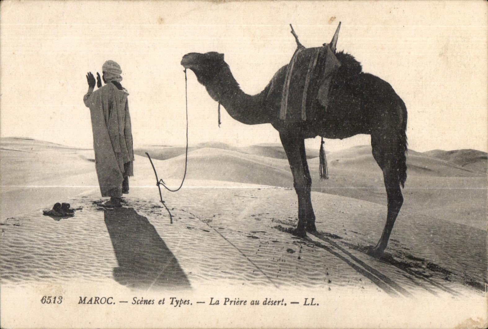 CPA Morocco Morocco Scenes and Standards Pierre with the desert Camel Camel