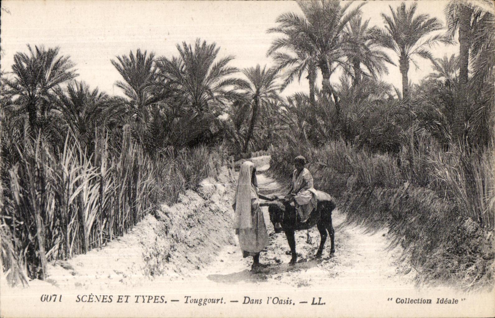 CPA Scenes and Types Touggourt In I Oasis Ass Donkey