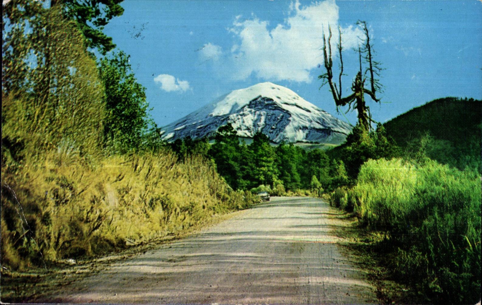 CPA Popocatepeti Y arbol de la bruja Amecameca Mexico The Popocatepeti volcano and the tree of the witch Armecameca Mex