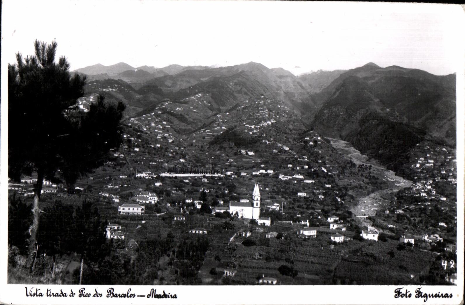 CPA Virta tirada lico of Barcelos Madeira