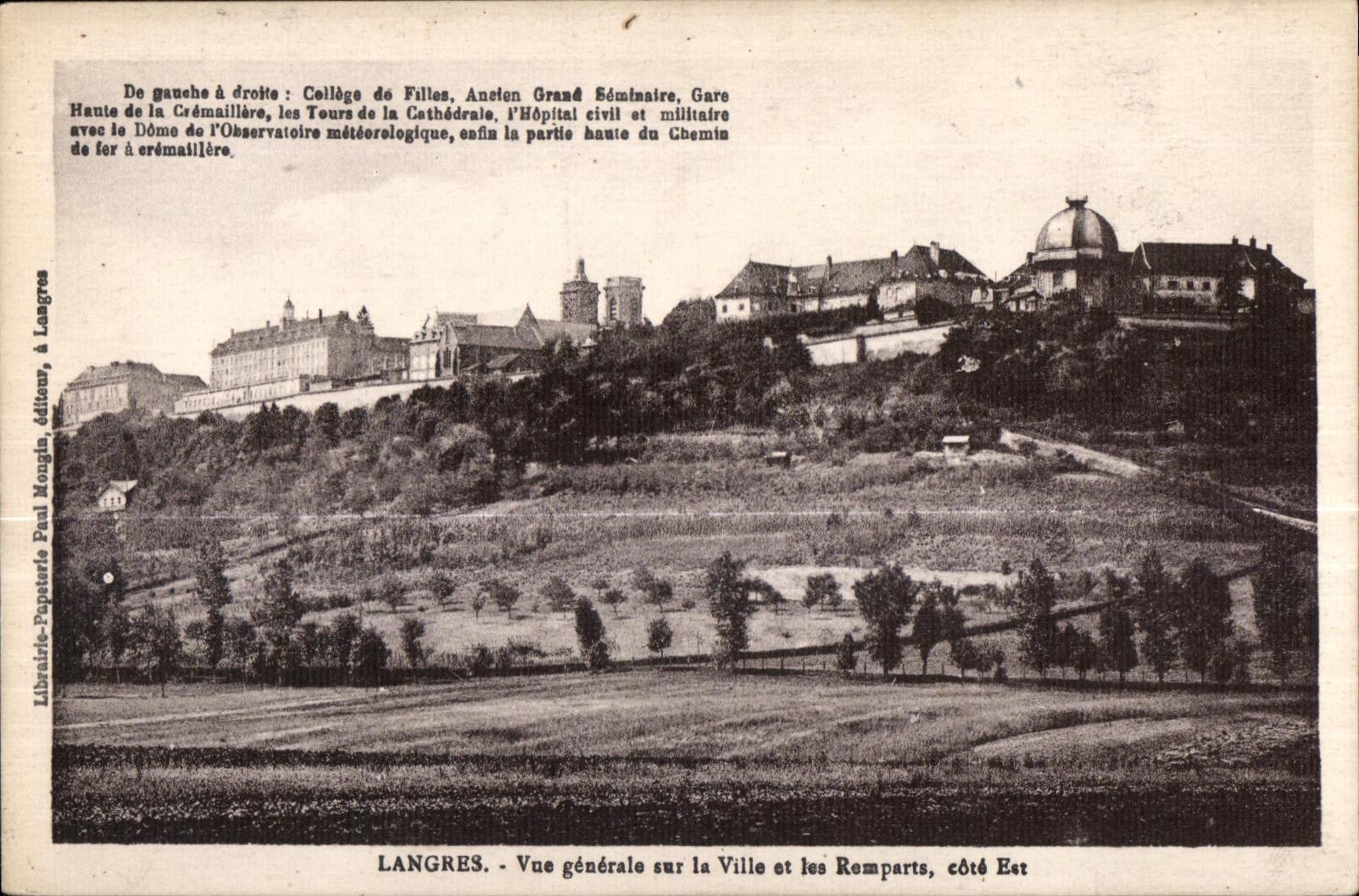 CPA Langres Vue generale sur la Ville et les Remparts Cote Est