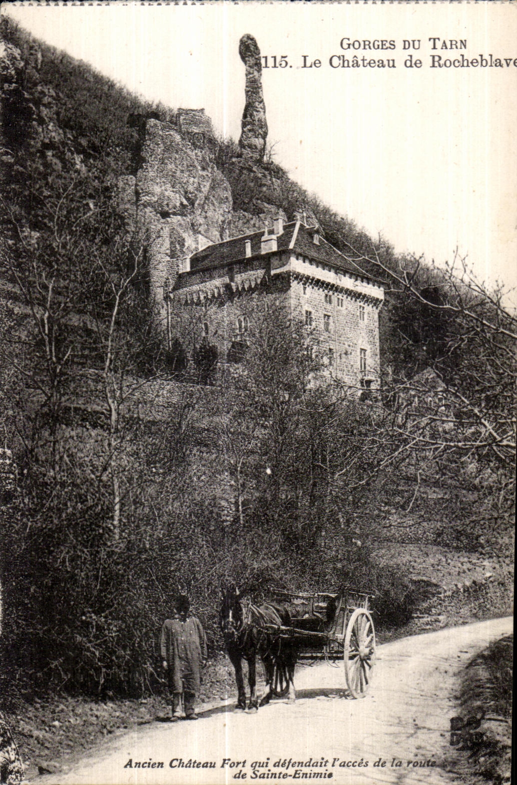 CPA Gorges du Tarn Le Chateau de Rocheblave