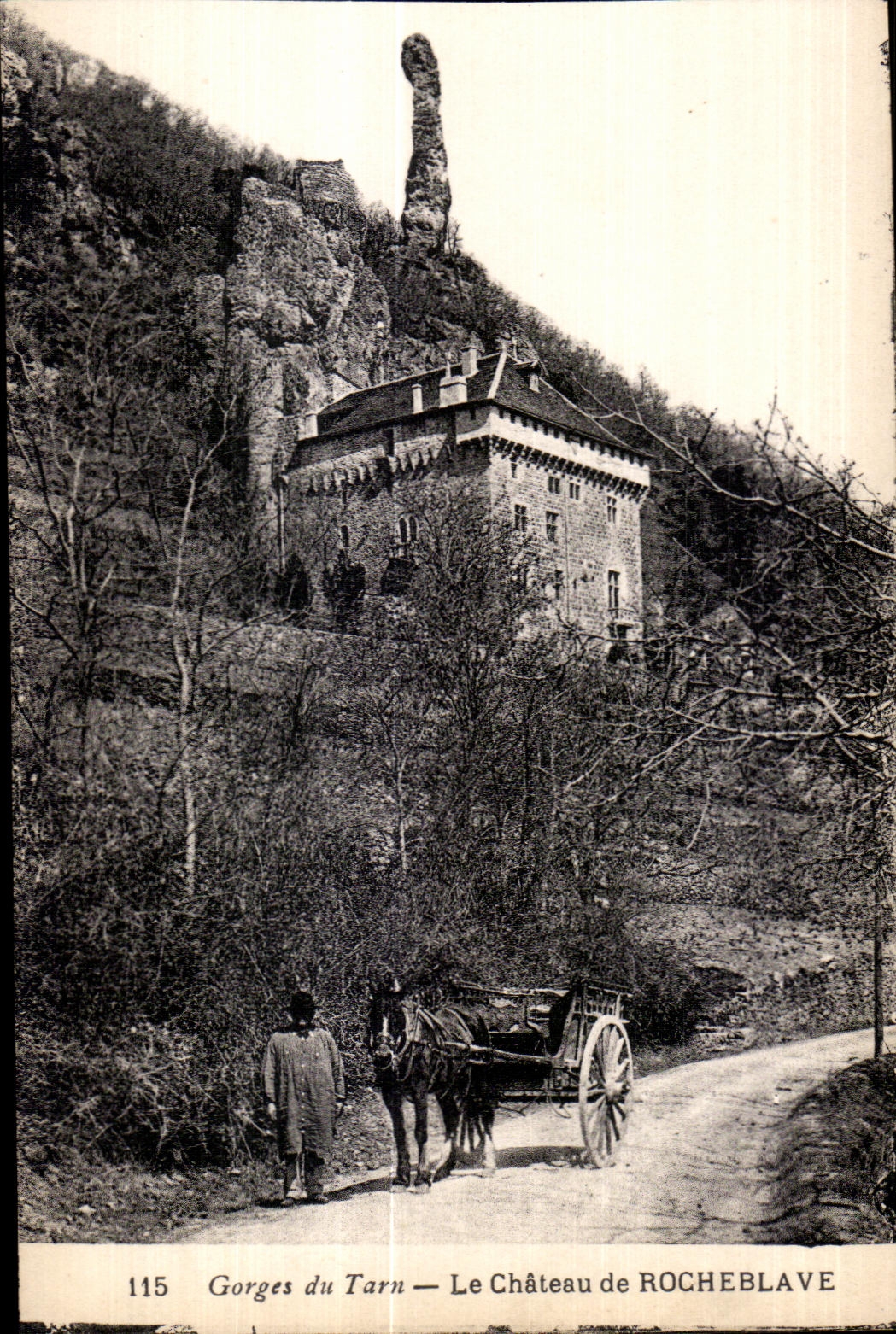 CPA Gorges du Tarn Le Chateau de Rocheblave