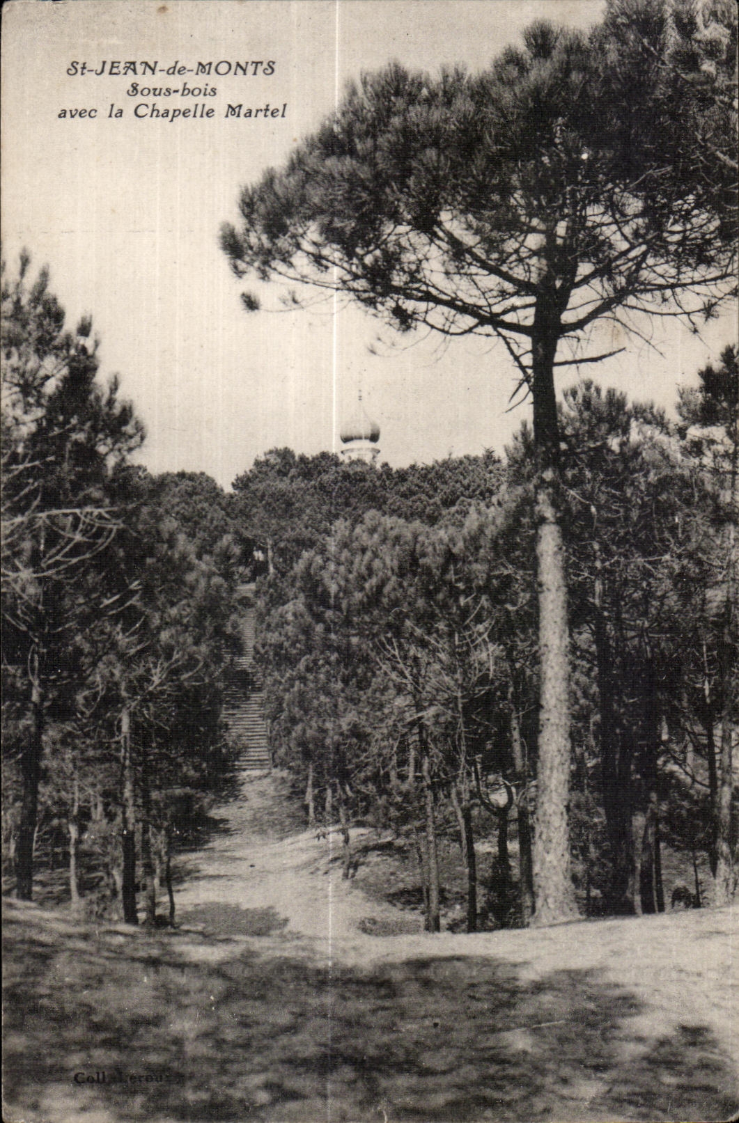 CPA St Jean de Monts Sous bois avec la Chapelle Martel