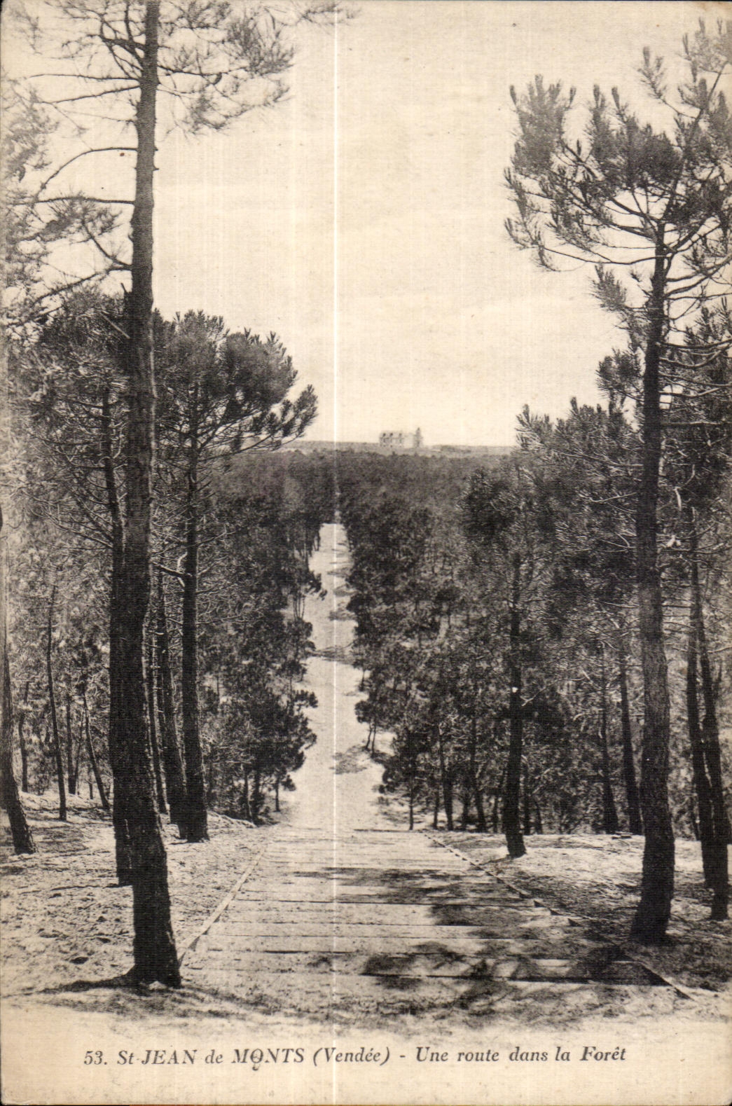 CPA St Jean de Monts (Vendee) Une route dans la Foret