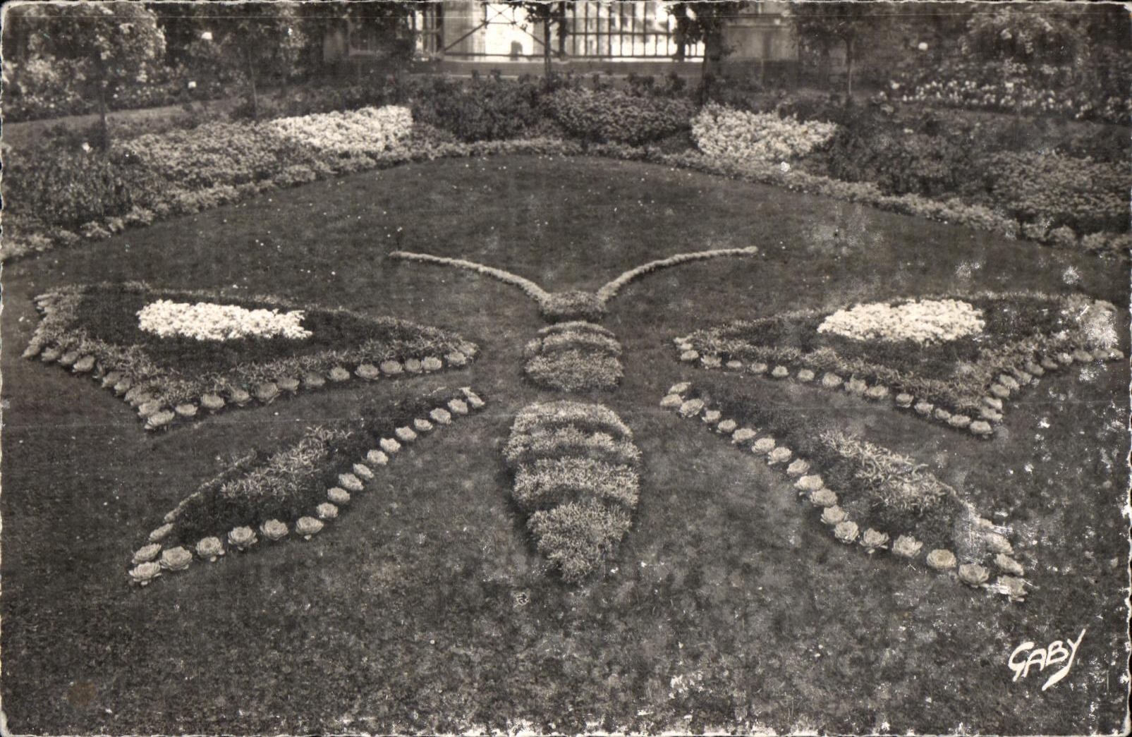 CPSM Avranches (Manche) Le Jardin des Plantes Le Papillon Butterfly