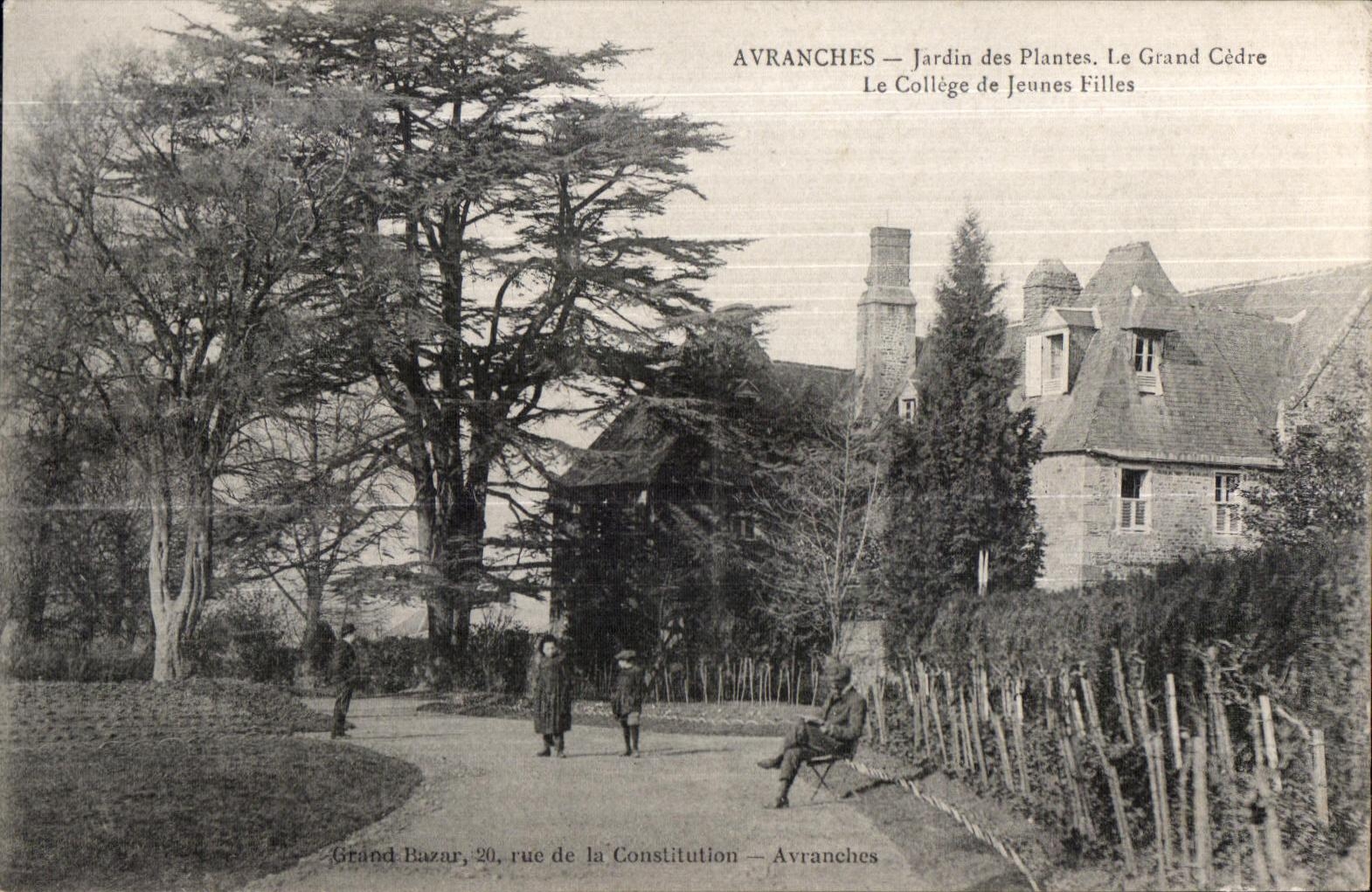 CPA Avranches jardin des plantes le grand cedre le college de jeunes filles