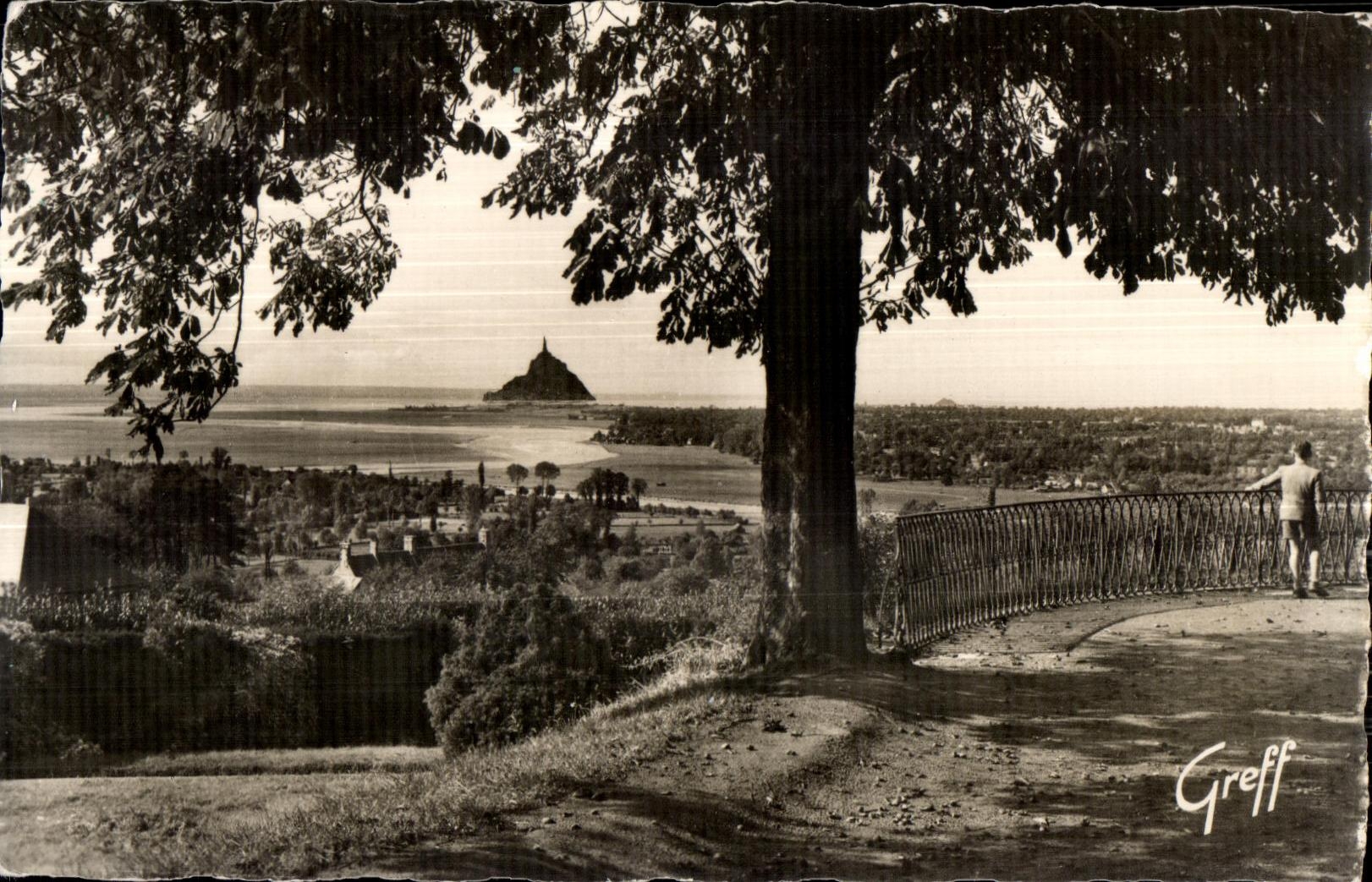 CPA Avranches (Manche) En Normandie La Baie Du Mant Saint Michel Vue Du Jardin Des Plantes