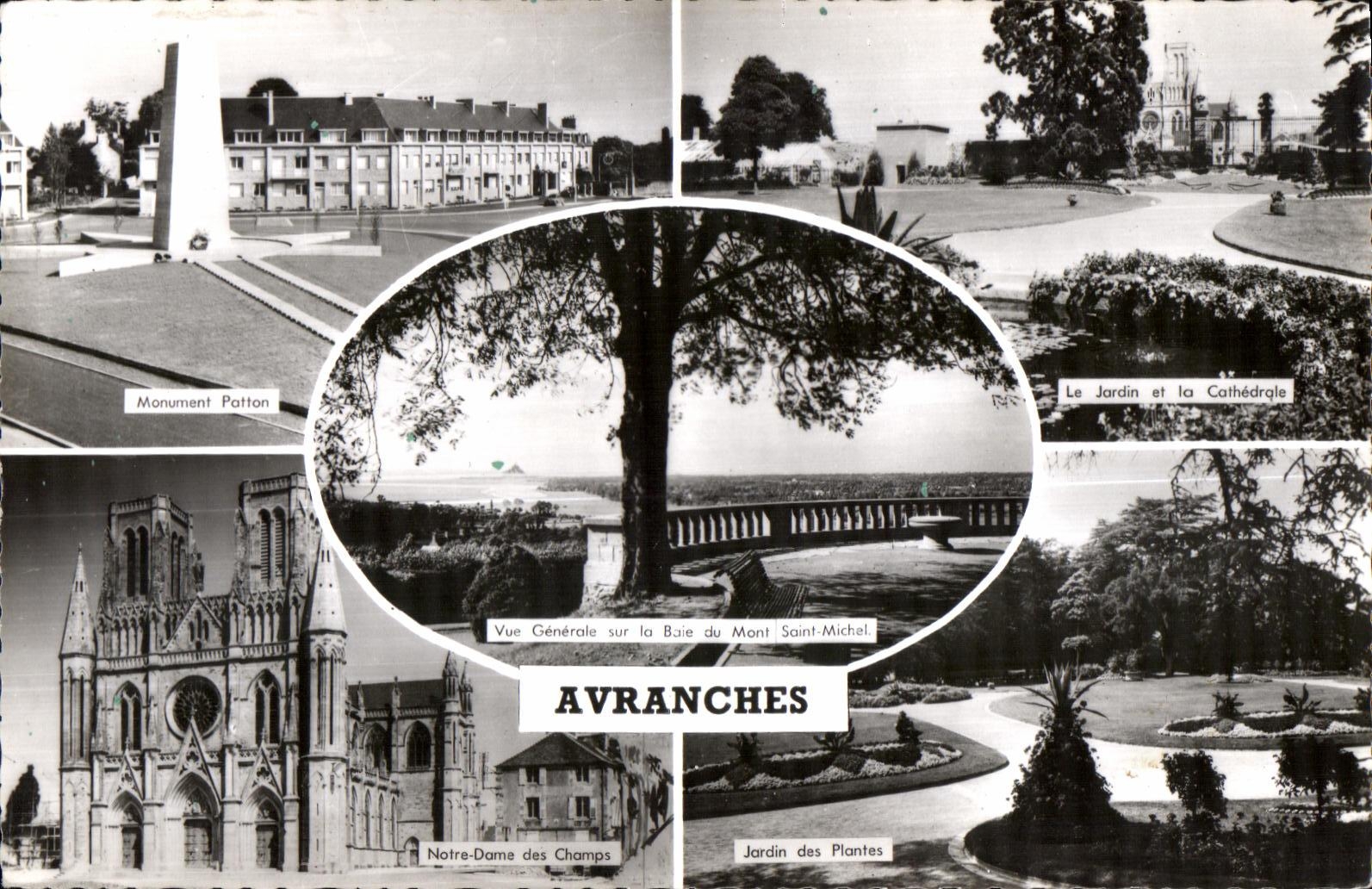 CPSM Avranches (Manche) Jardin des Plantes