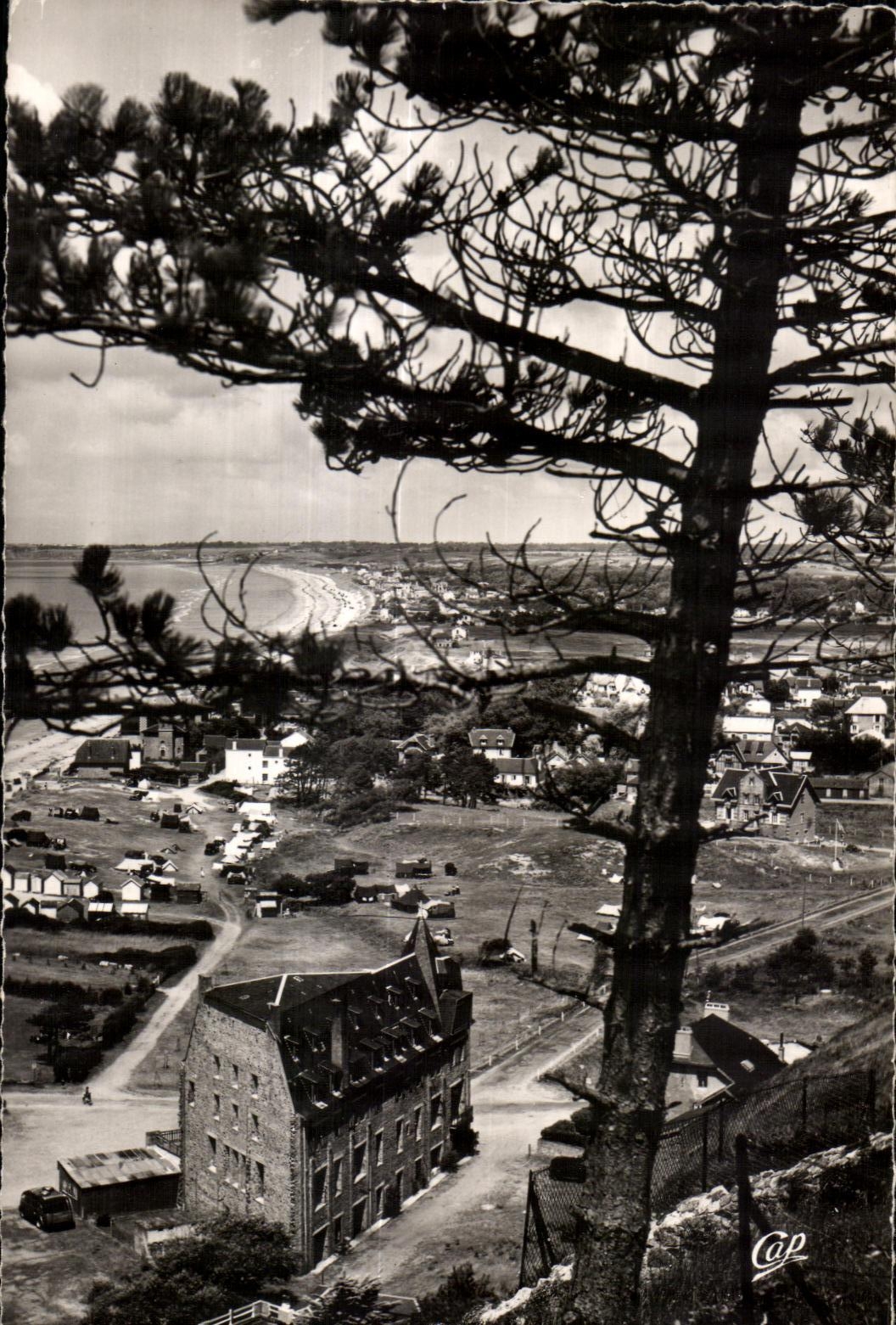 CPA Carolles (Manche) La Plage vue a Travers les Pins