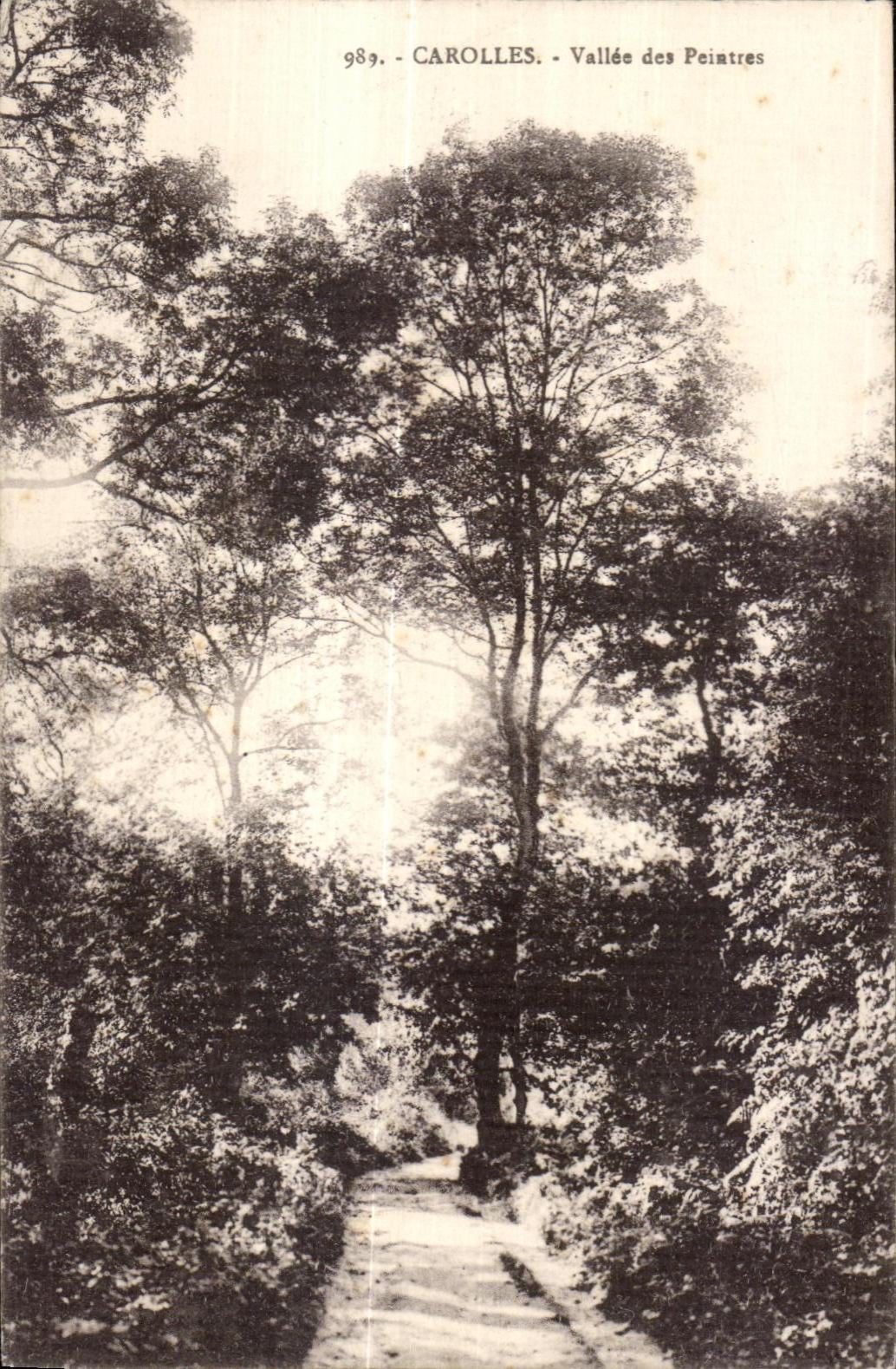 CPA Carolles Vallee des Peintres