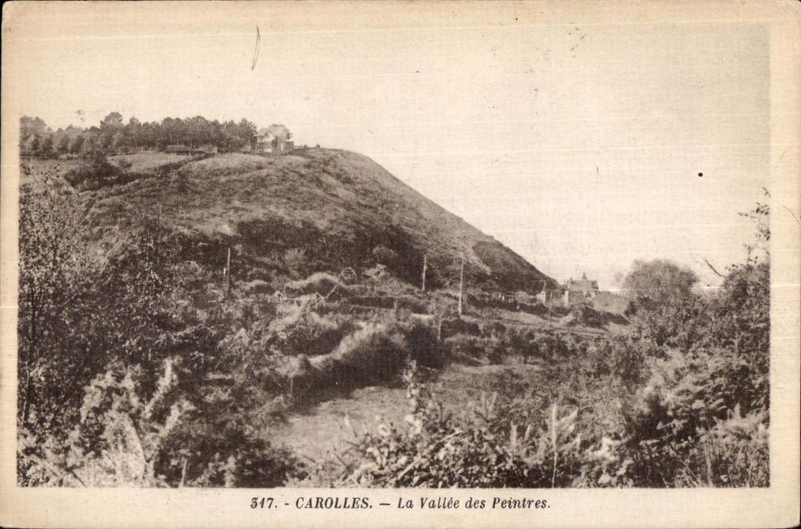 CPA Carolles La Vallee des Peintres
