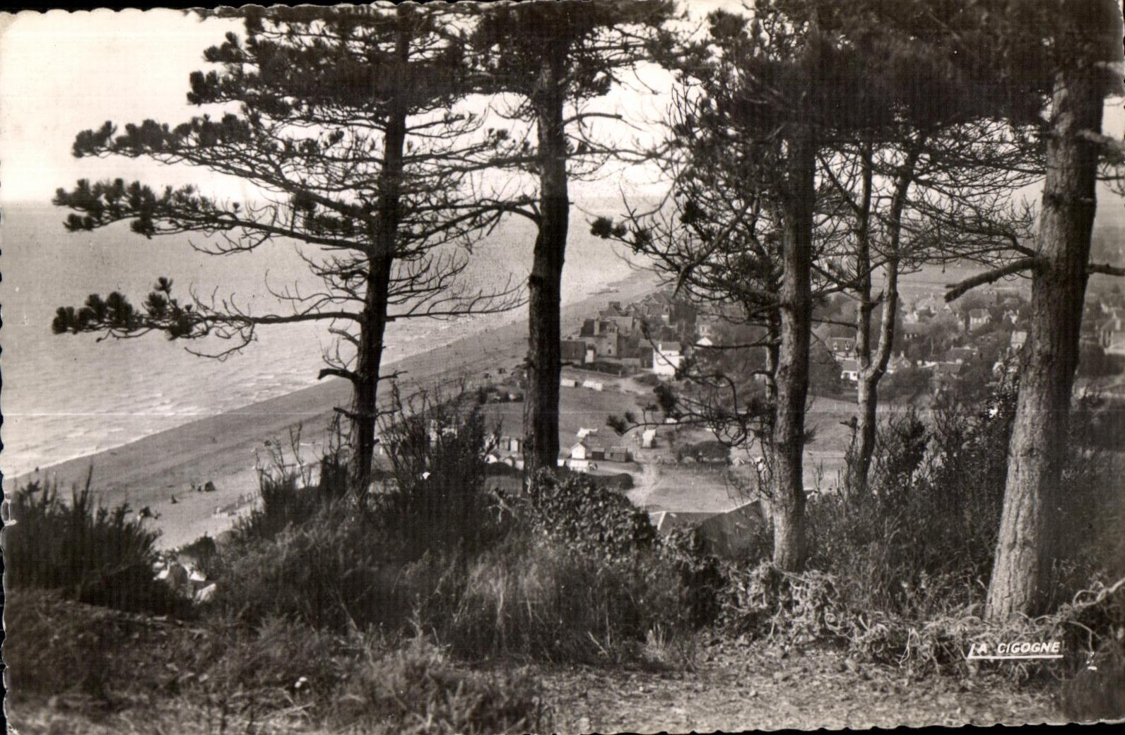 CPA Carolles Vue sur la Plage 