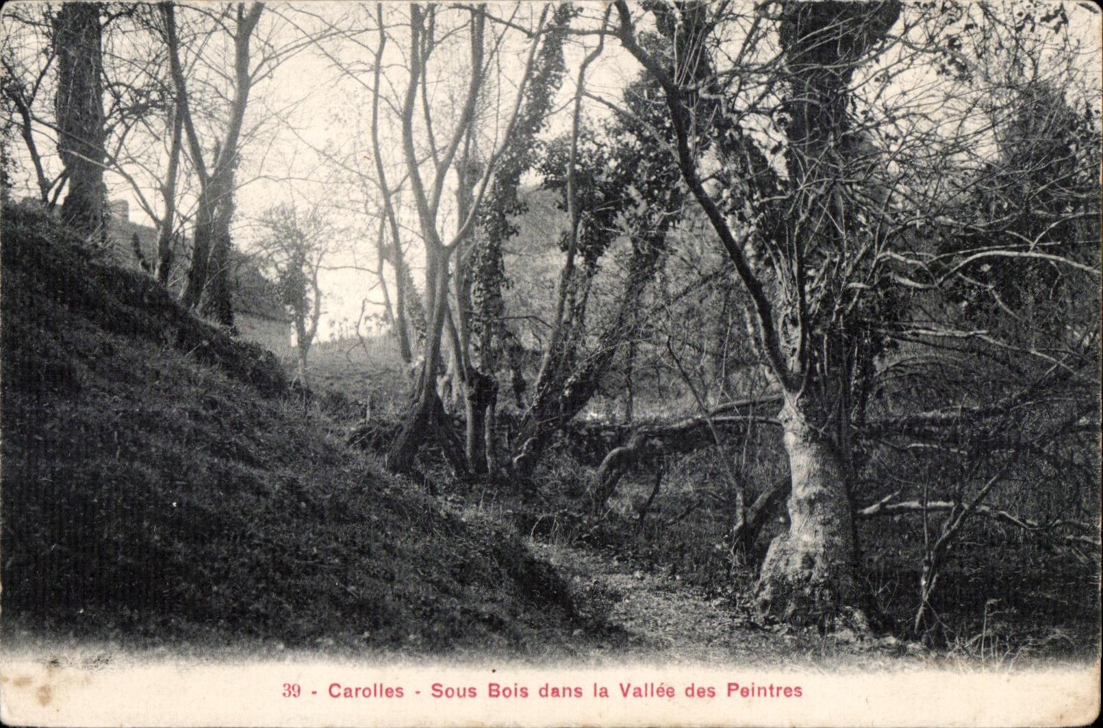 CPA Carolles Sous Bois dans la Vallee des Peintres