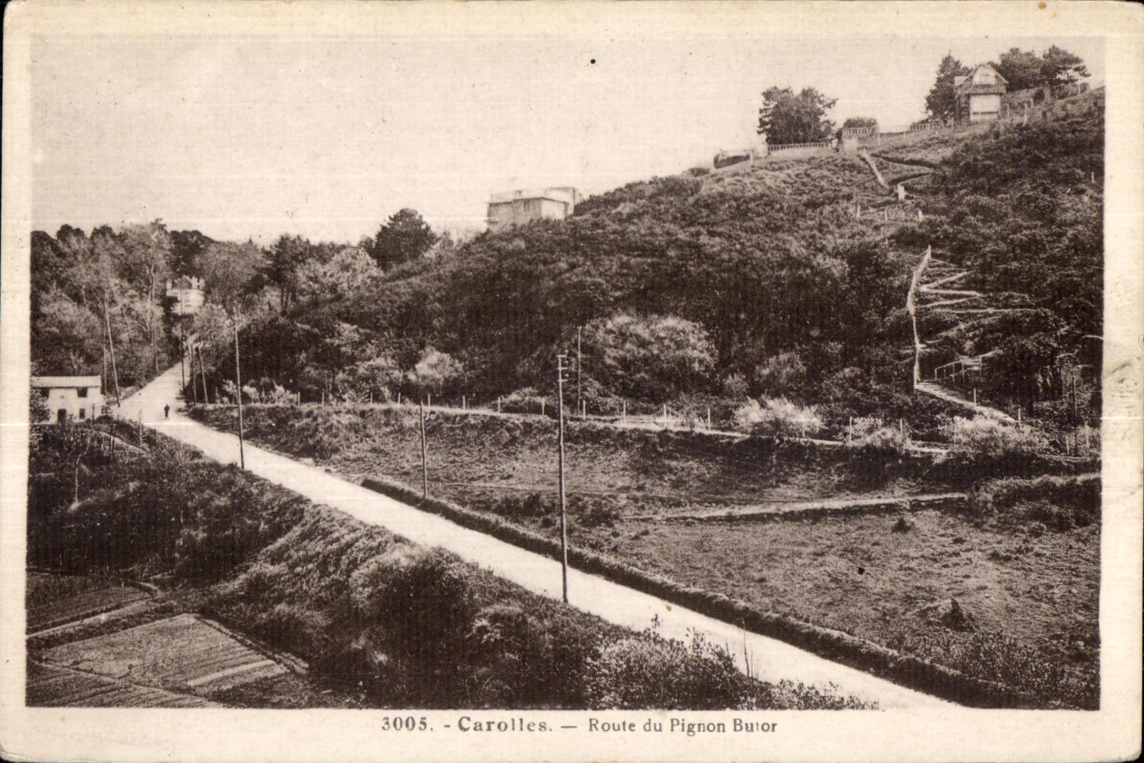 CPA Carolles Route du Pignon Butor