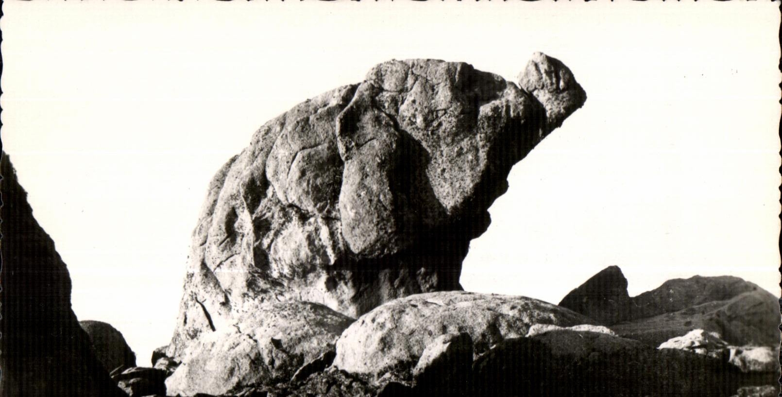 CPA Iles De Chausee L Elephant