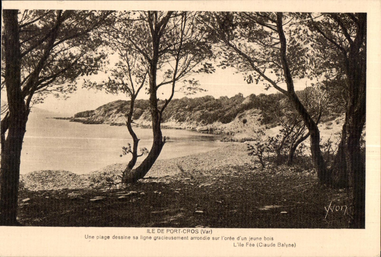 CPA Ile De port Cros (Var) Une plage