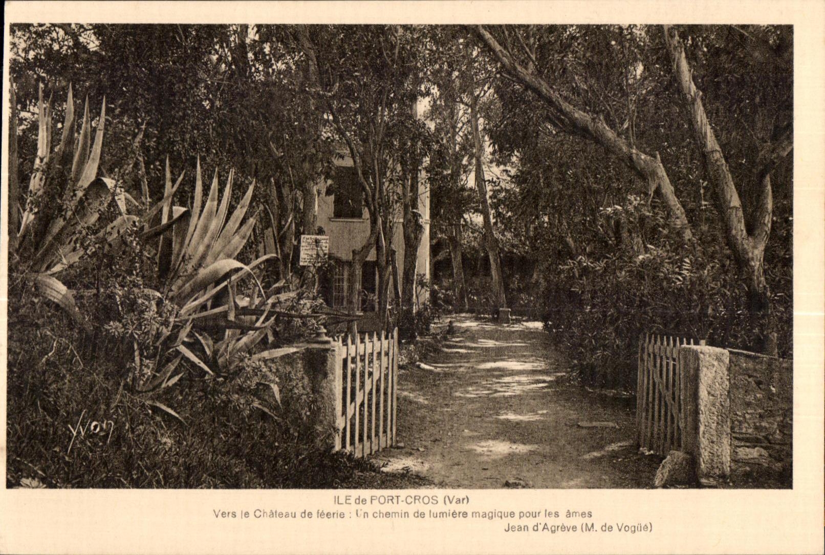 CPA Ile de Fort Cros (Var) Vers le Chateau de mere Un chemin de lumiere magique pour les armes Jean d Agreve