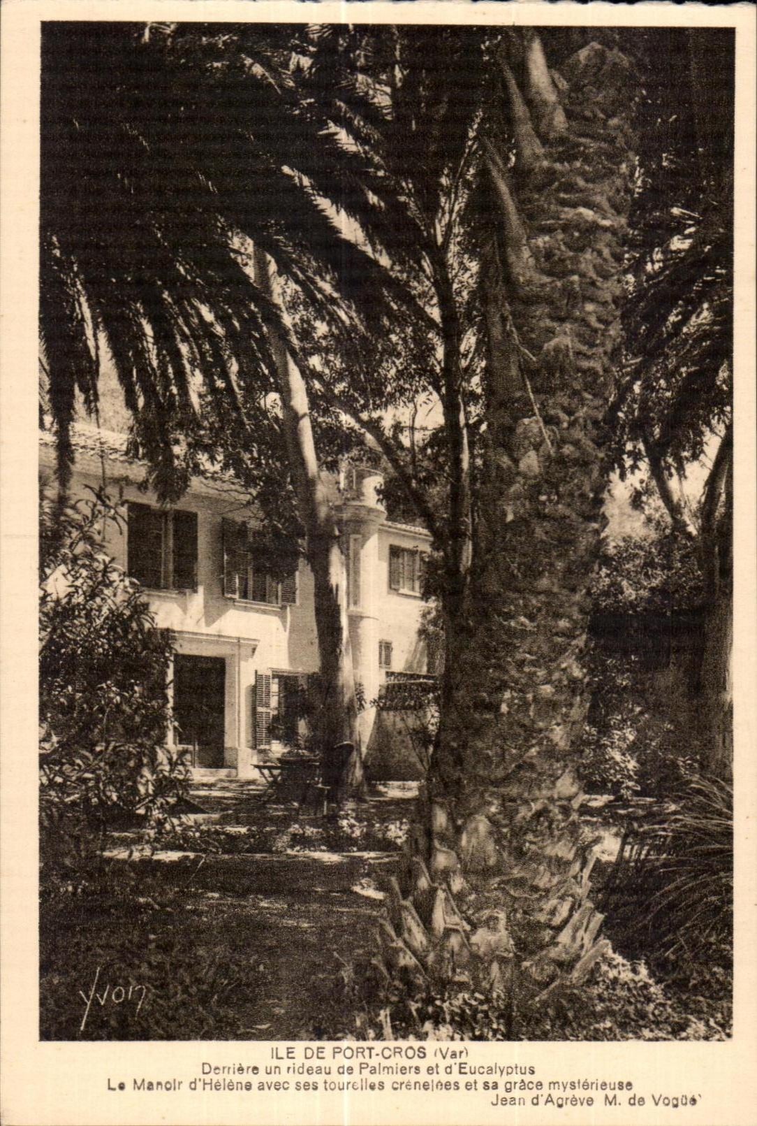 CPA Ile de Port Cros (Var) Derriere un rideau de Palmiers et la Eucalyyotus Le Manoir d Helene