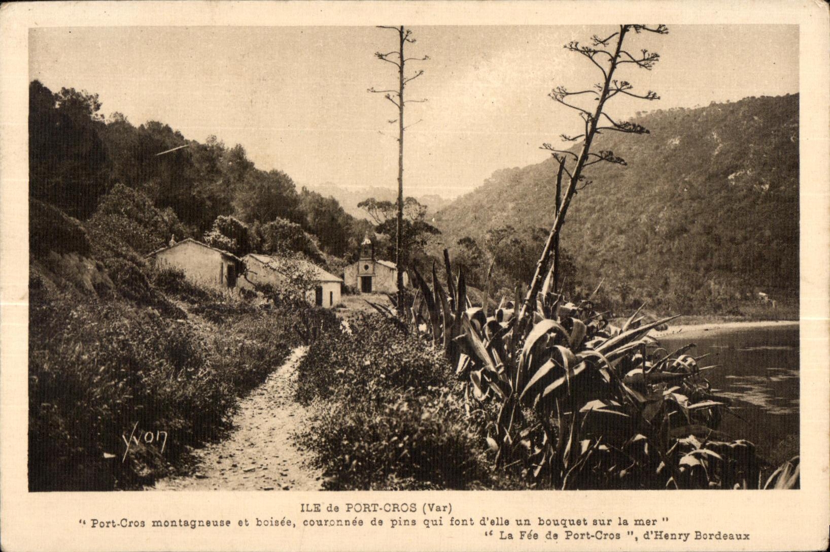 CPA Ile de Port Cros (Var) Port Cros montagneure et boinee couronnee de pins qui font d elle un bouquet sur la mer La