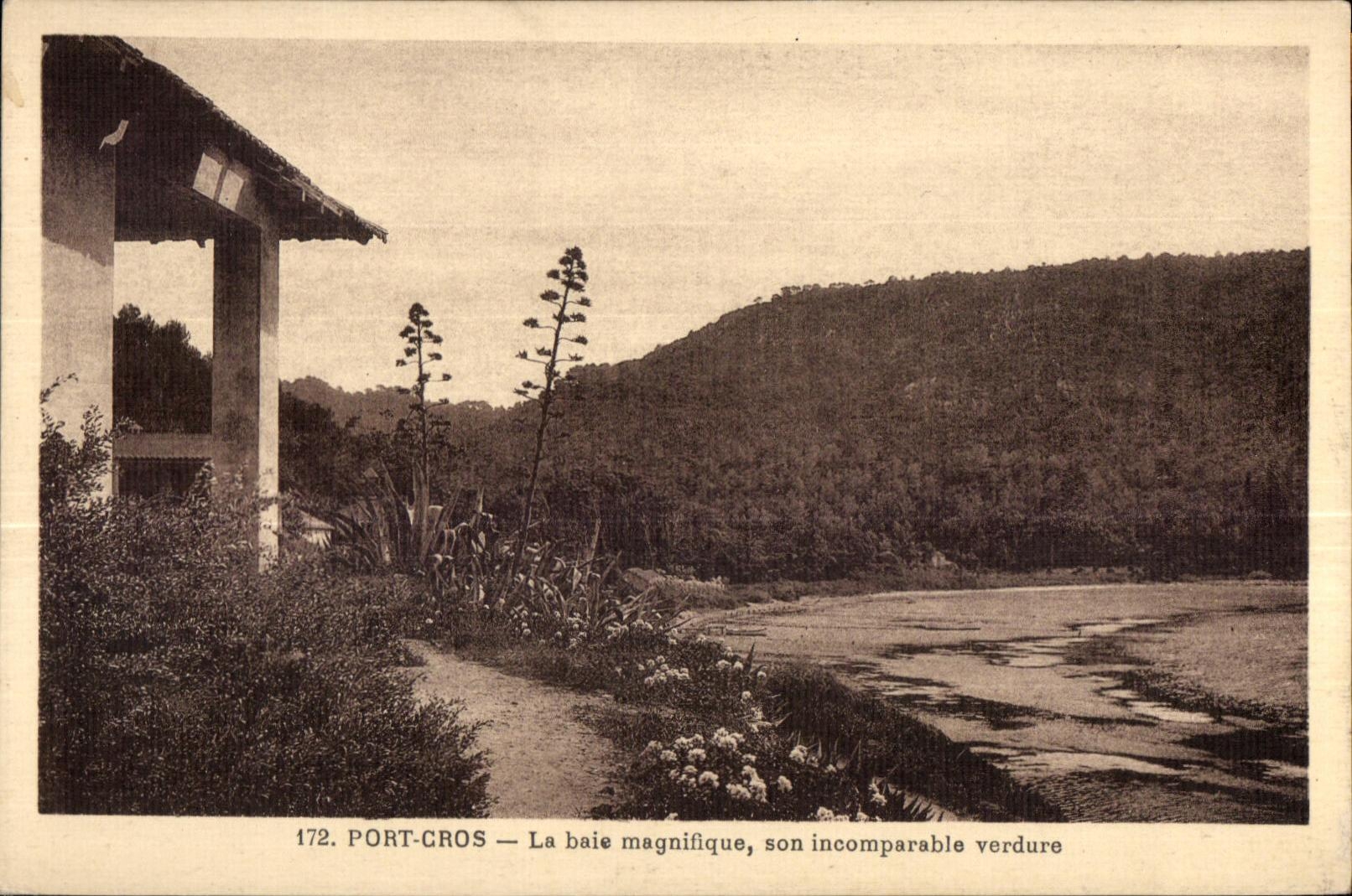 CPA Port Cros La baie magnifique son incomparable verdure