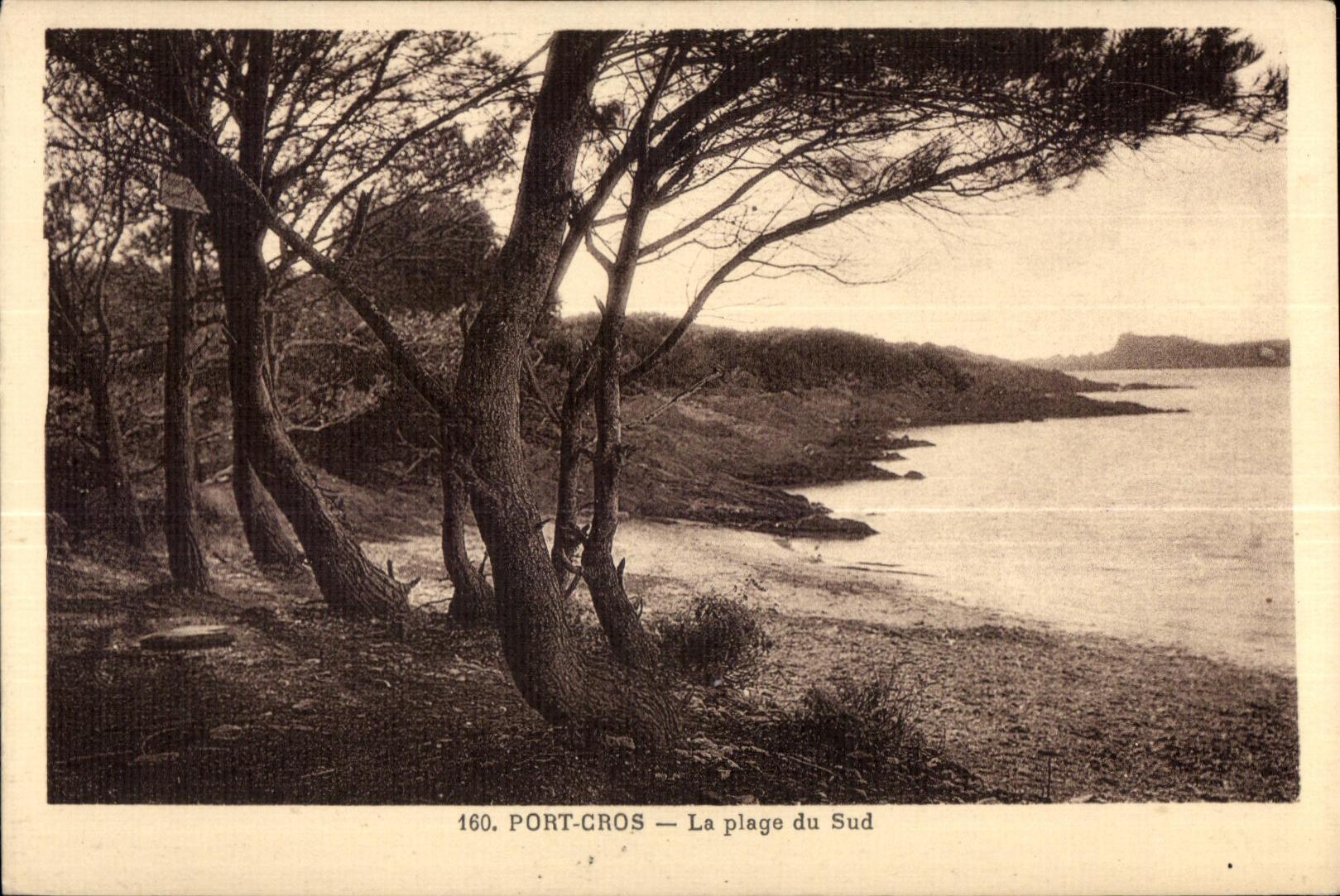CPA Port Cros La Plage du Sud