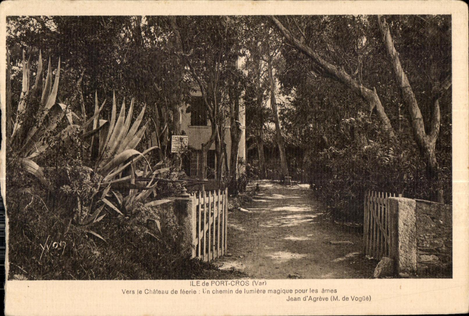 CPA Le de Port Cros (Var) Vers le Chateau de feerie Un chemin de lumiere magique pour les