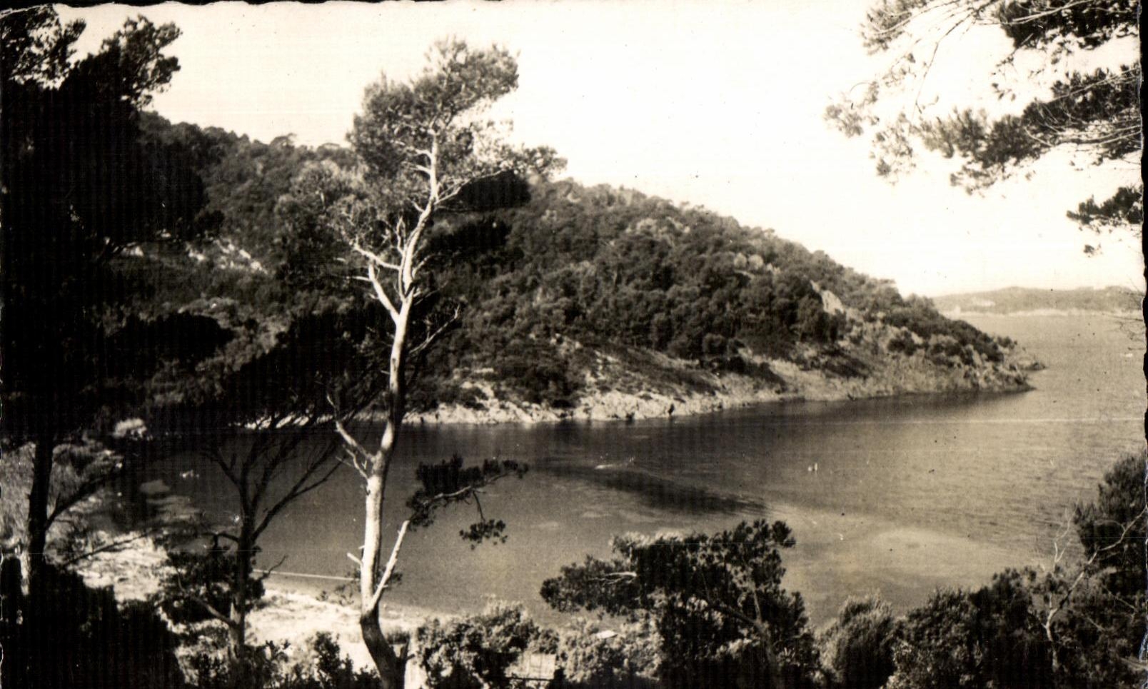 CPA Environs de La Captc 4160 Port Cros (Var) Un coin de la Bare