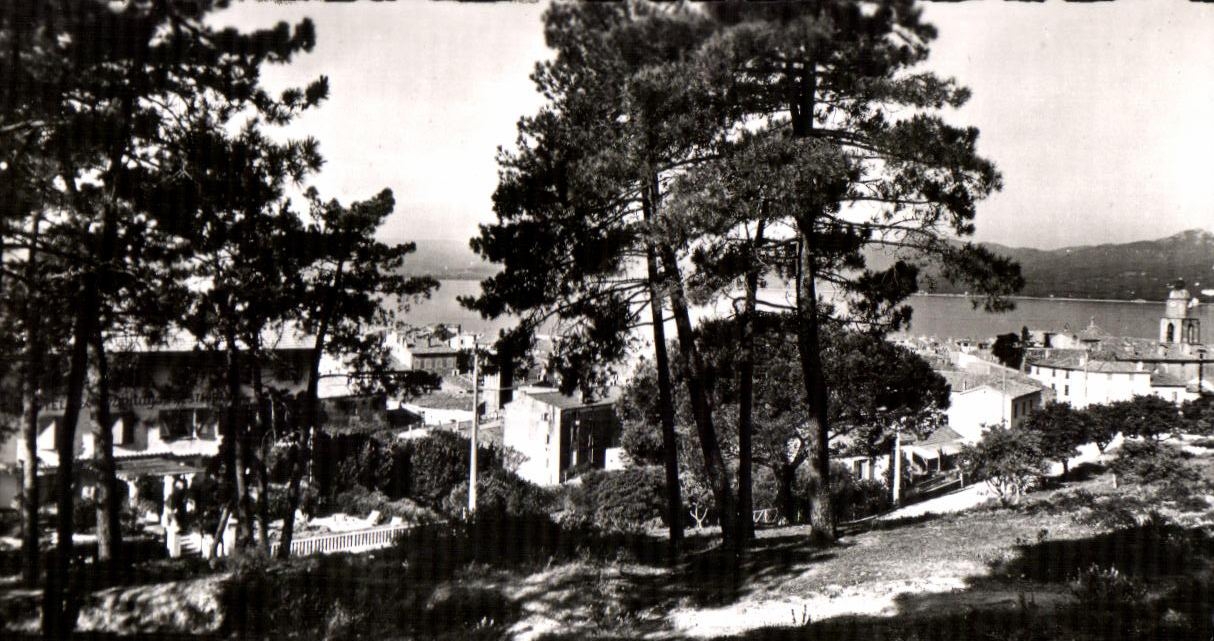 CPSM Saint Tropez Echappee sur le Coife