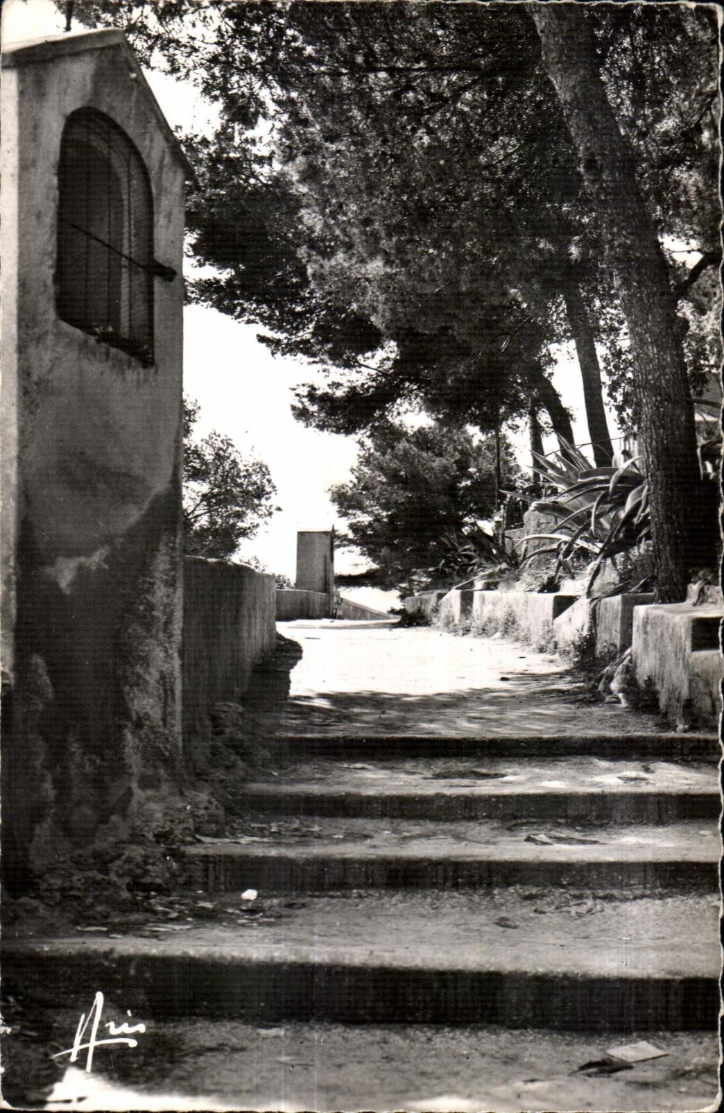 CPA Cote d Azur Sanary sur Mer Chemin de T Oratoire