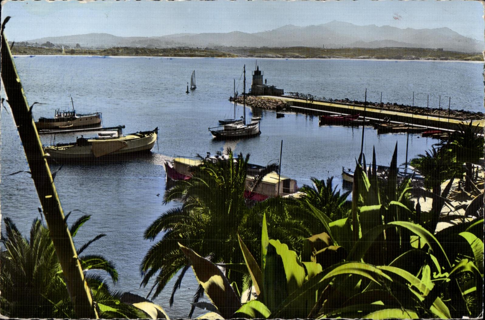 CPA Cote d Azur Sanary sur Mer