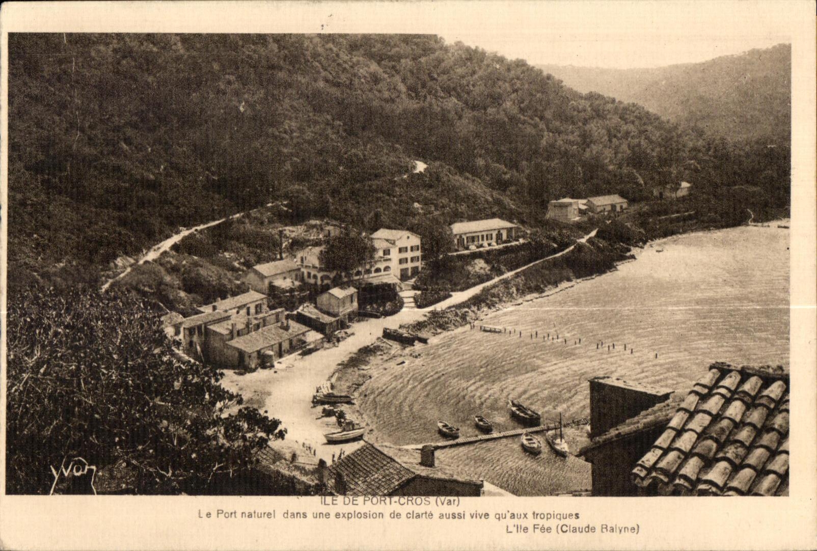 CPA Ile De Port Cros Le Port naturel dans une explosion de