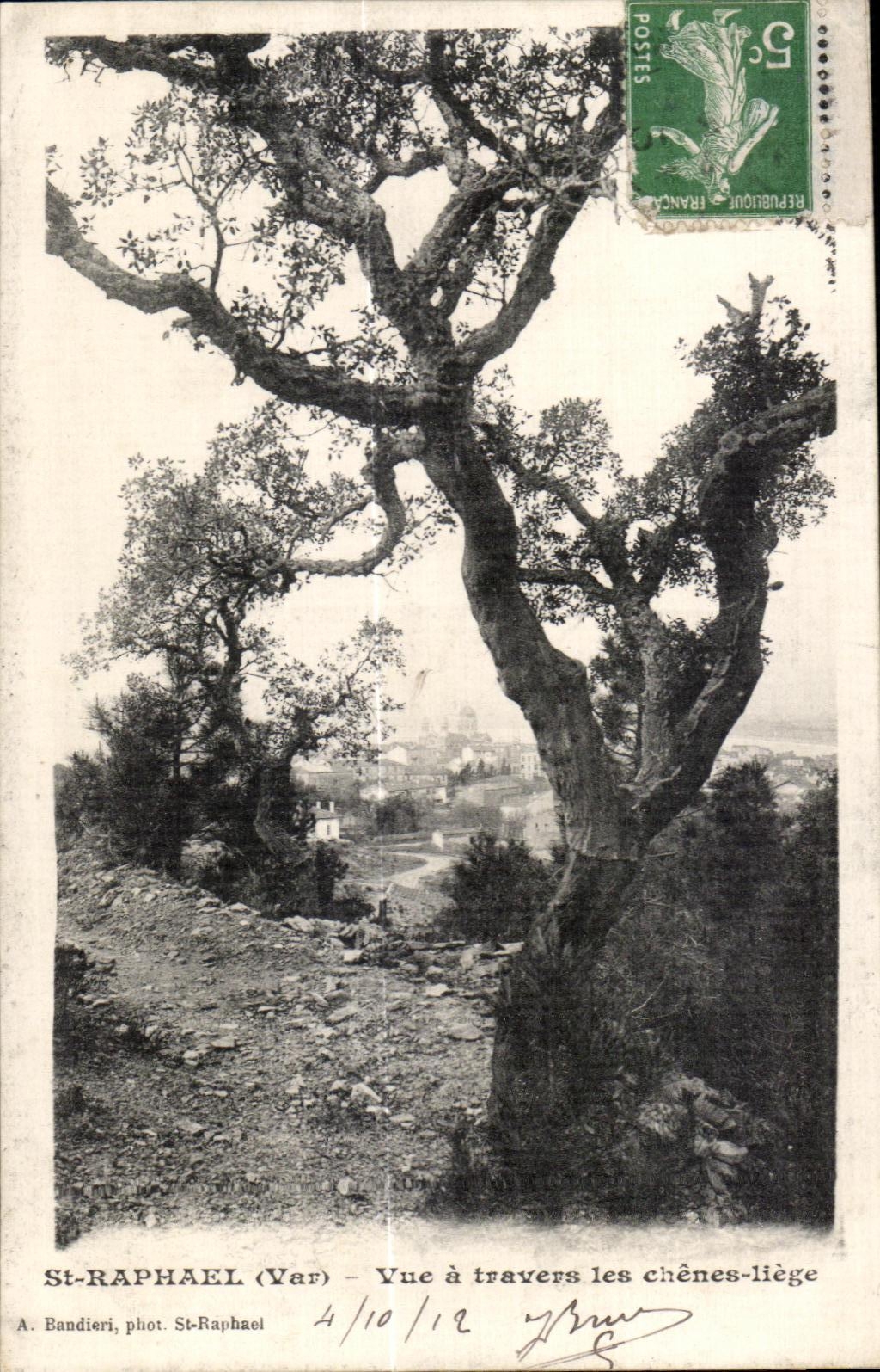 CPA St Raphael Vue a travers les chenes liege