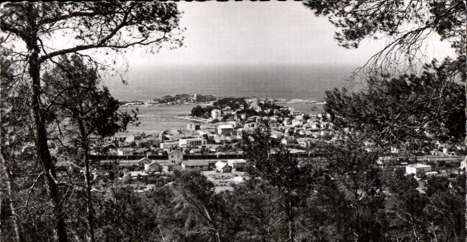 CPA Cote d Azur Bandol Vue Generale