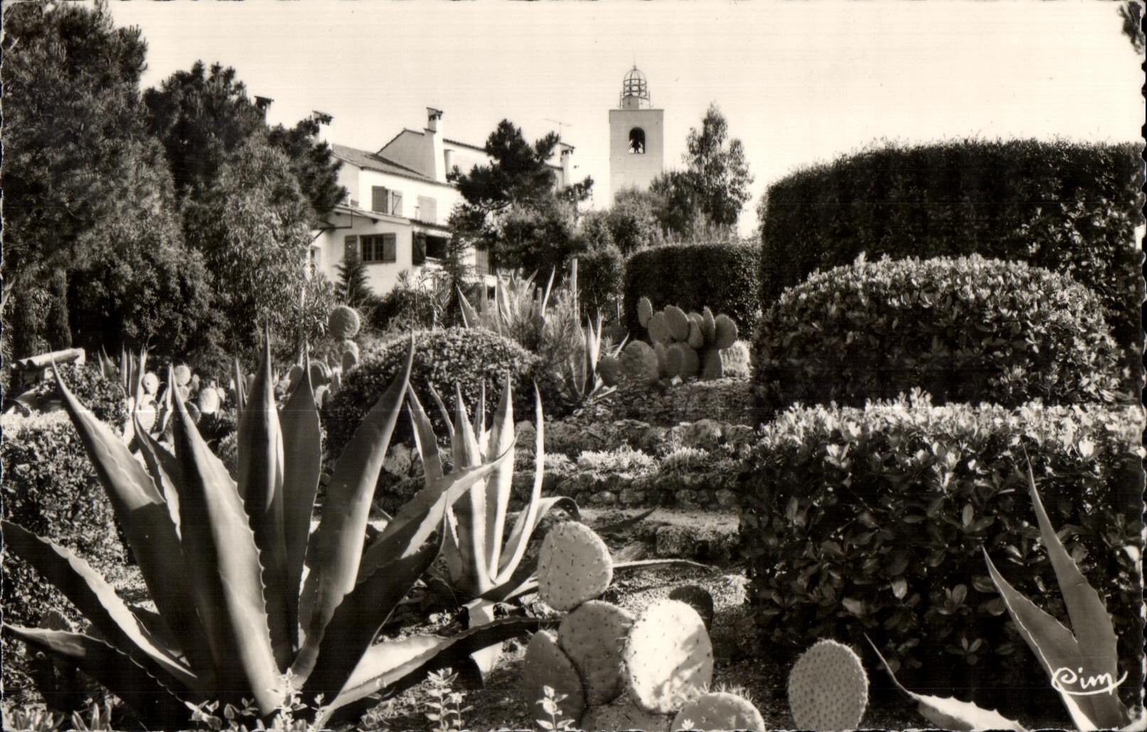 CPA Calanques des Issambres Paysage exotique