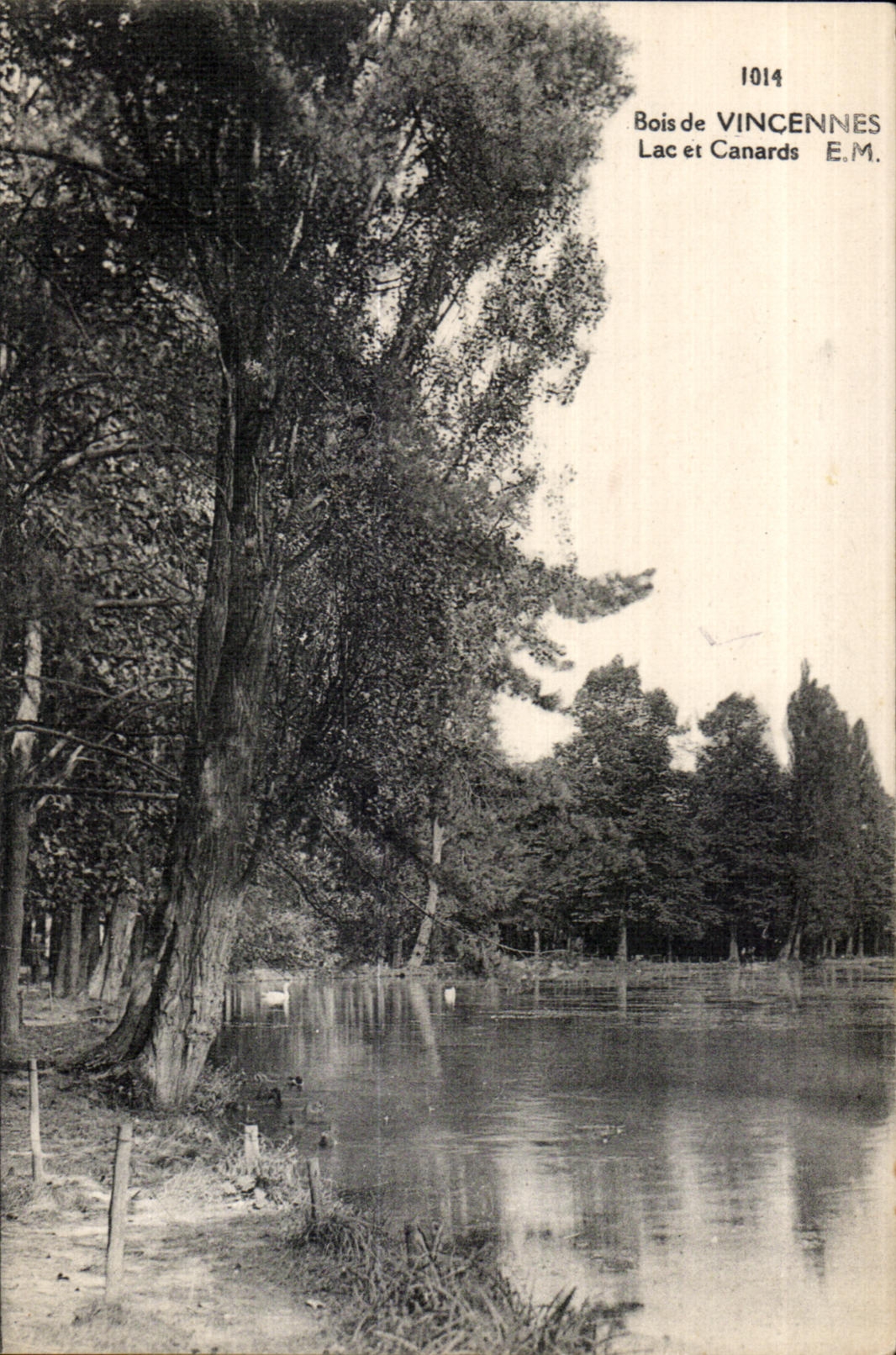 CPA Wood of Vincennes Lake and Canards