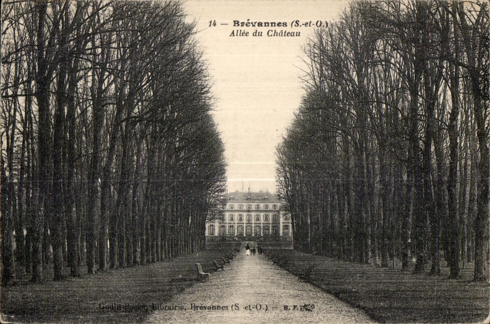 CPA Brevannes Allee du Chateau