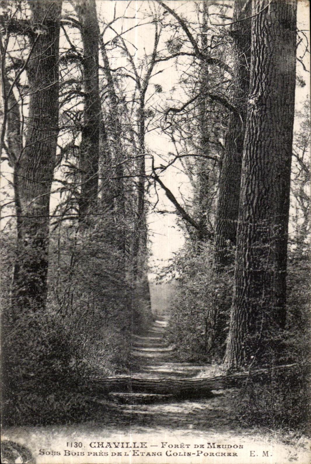 CPA Chaville Foret de Meudon Sous bois pres de l etang Colin Porcher