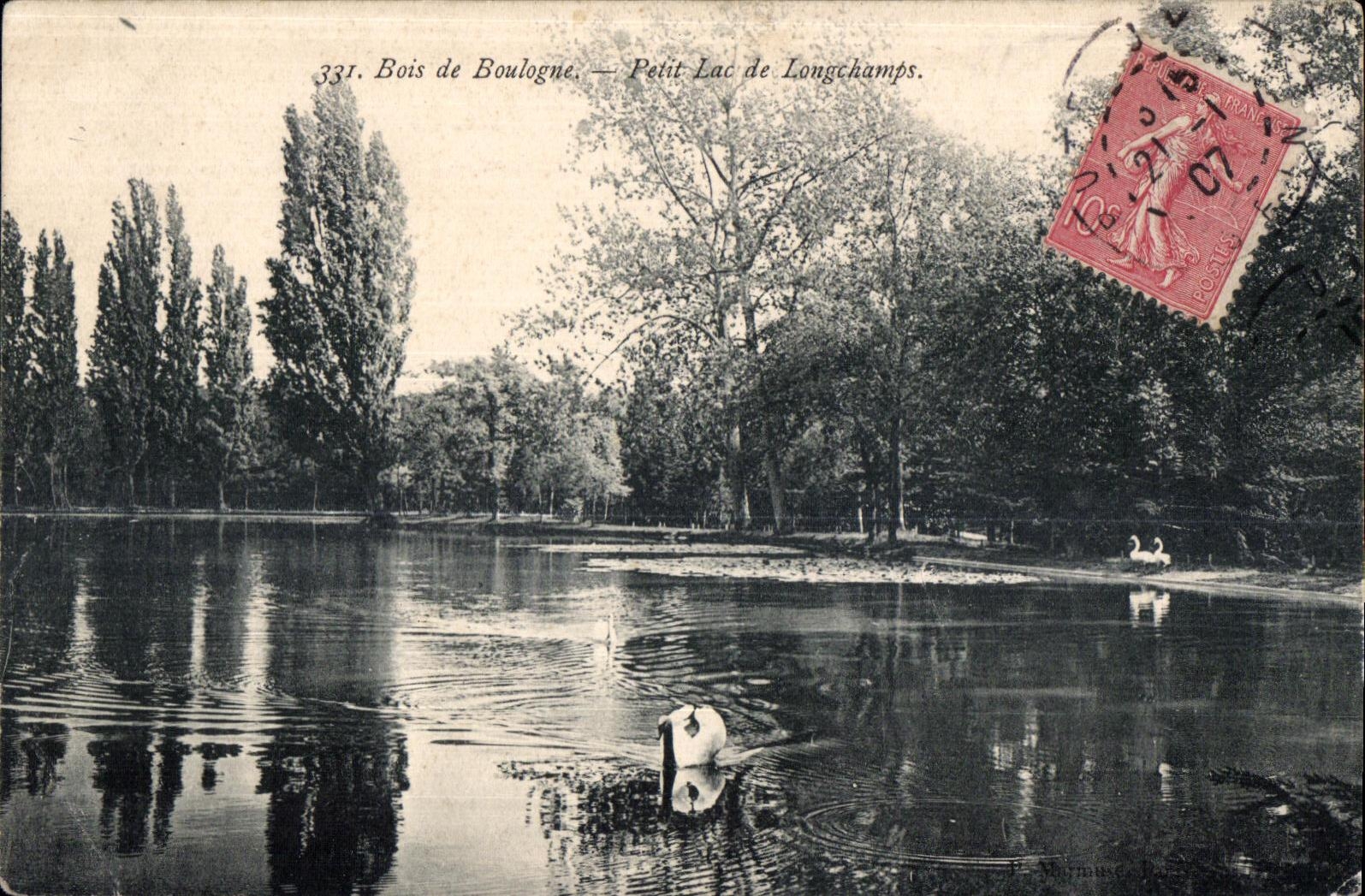 CPA Bois de Boulogne Small Lake Longchamps Swan Swan