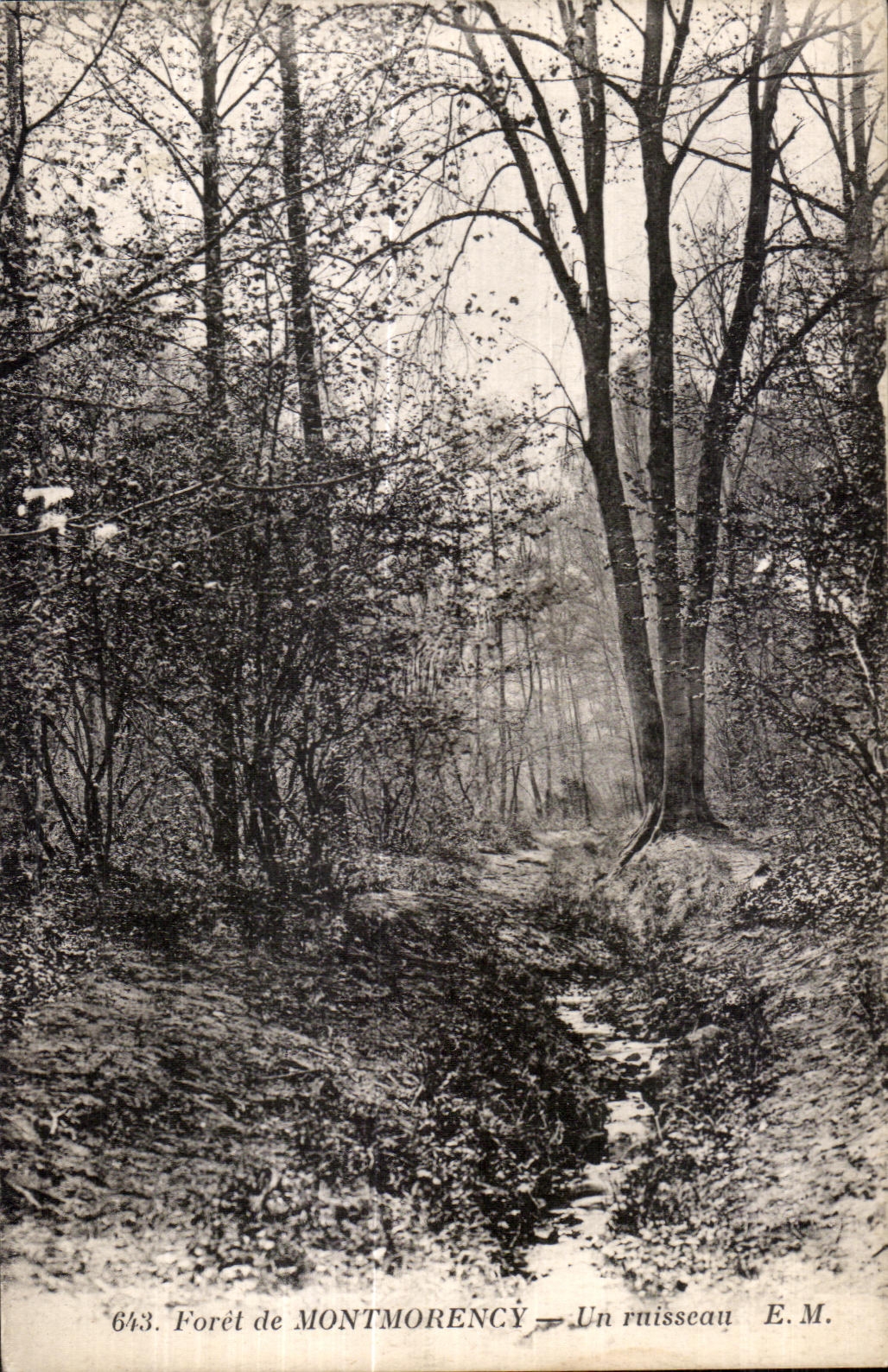 CPA forest of Montmorency a brook EM