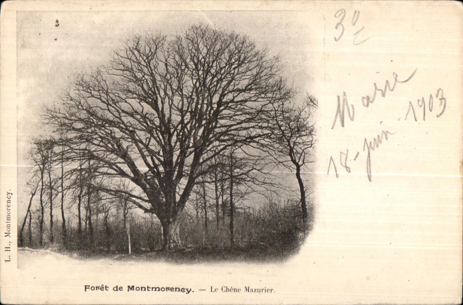 CPA forest of Montmorency the Mazurier Oak