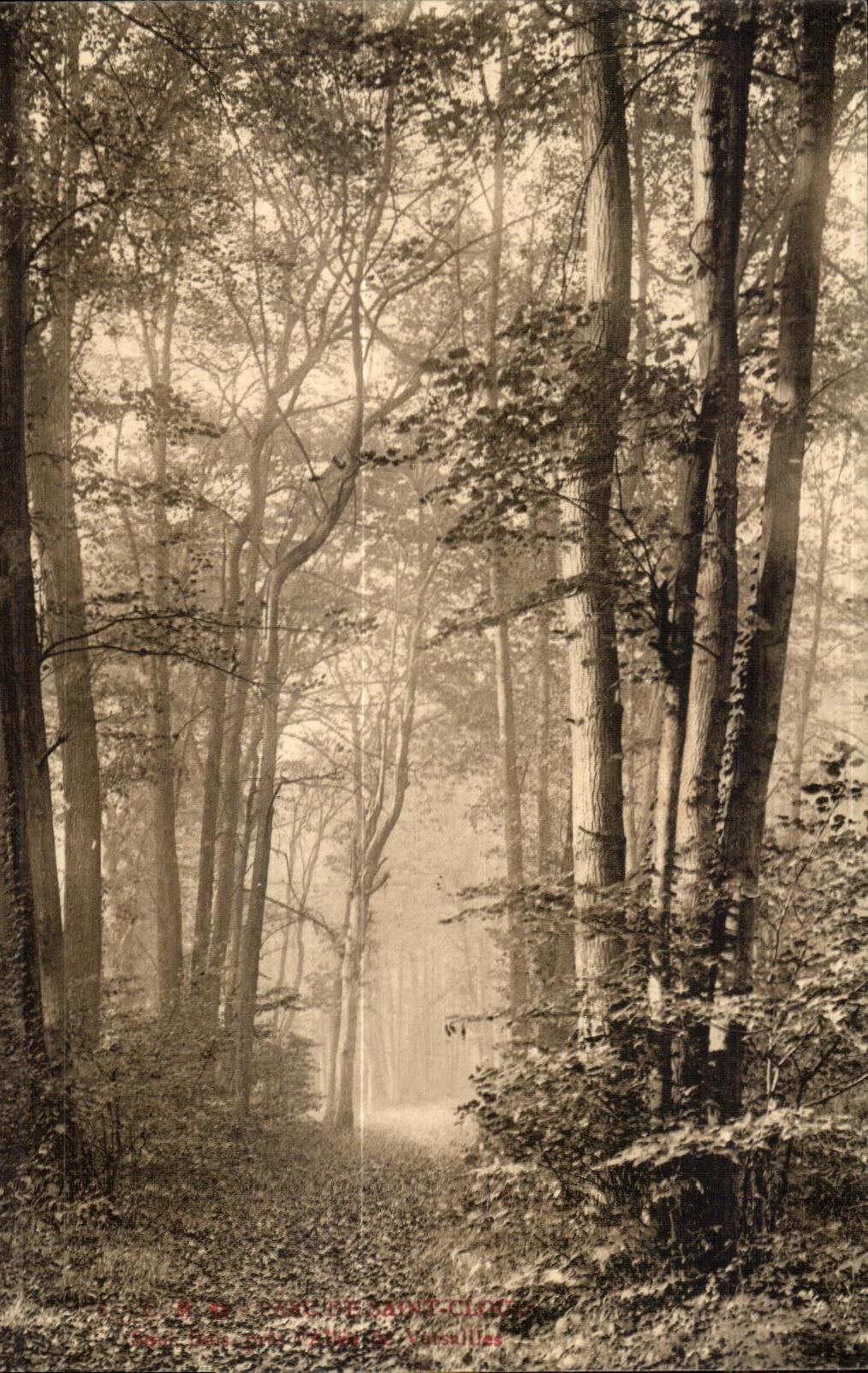 CPA Park Saint Cloud