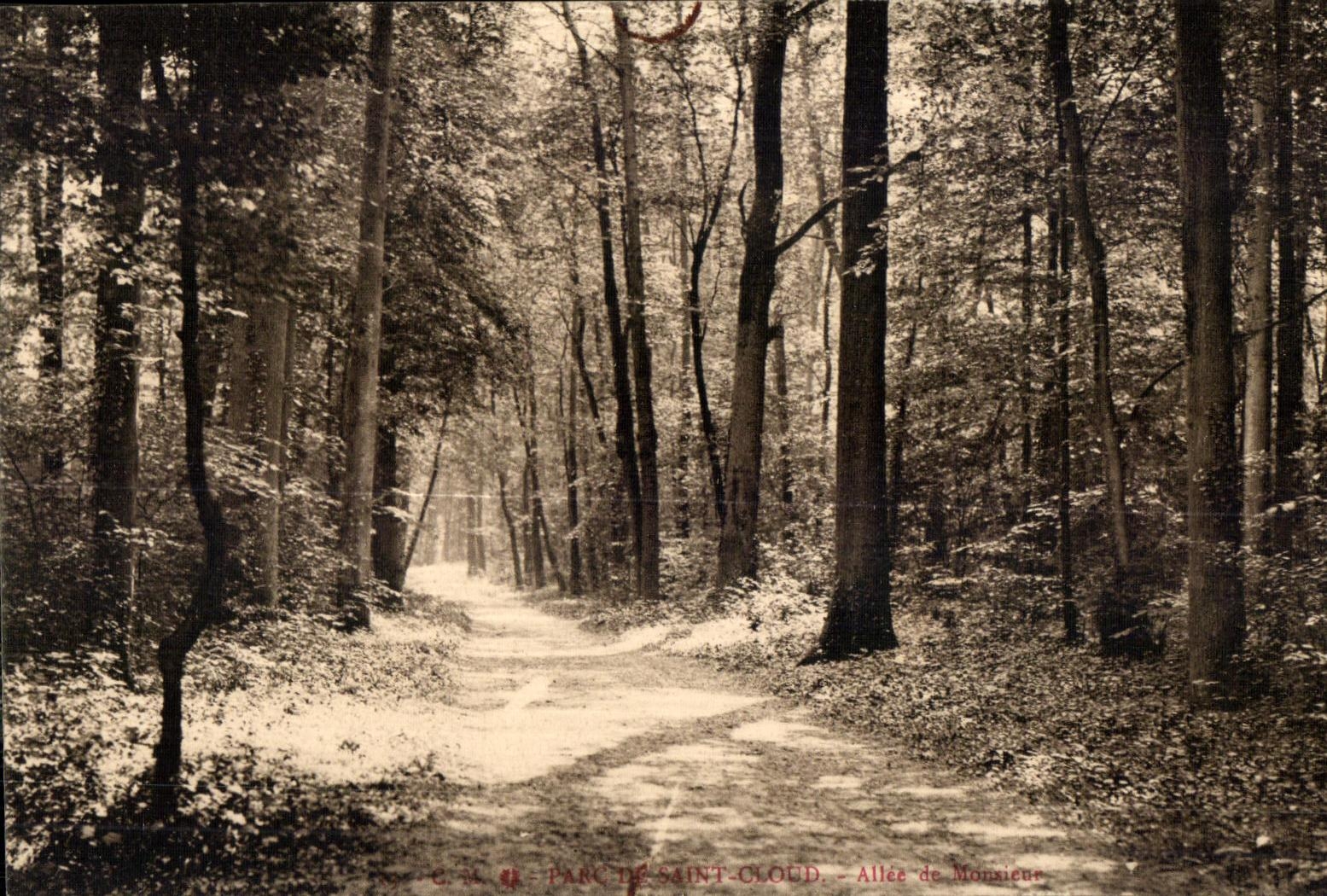 CPA Pare de Saint Cloud Allee de 