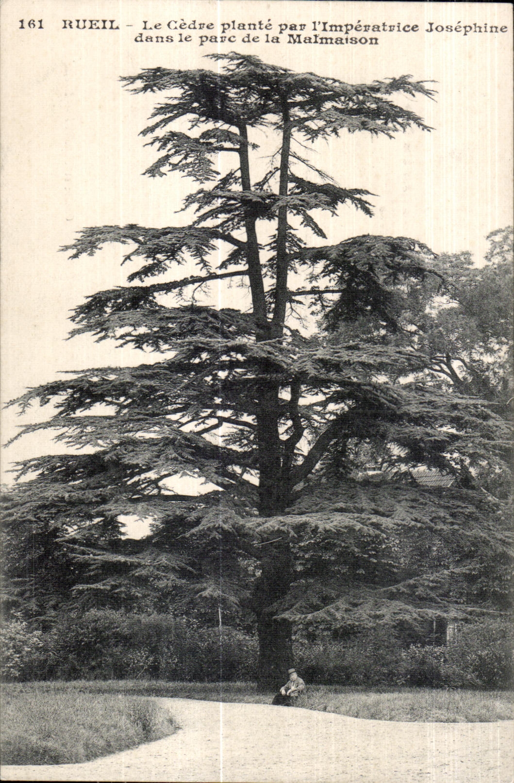 CPA Rueil Gedve plants pab I Impevatvice Josephine